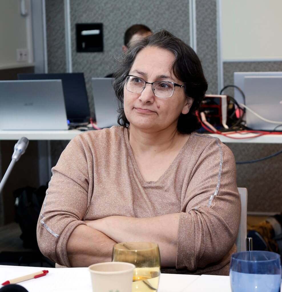 - | EFI - EuroMed Feminist Initiative