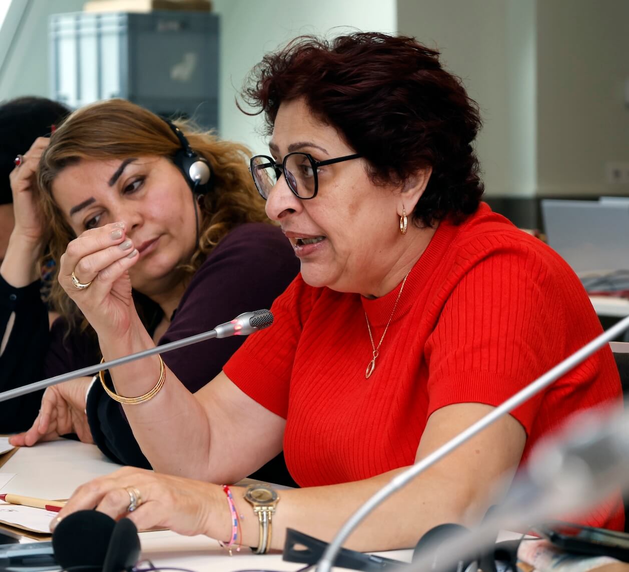 - | EFI - EuroMed Feminist Initiative