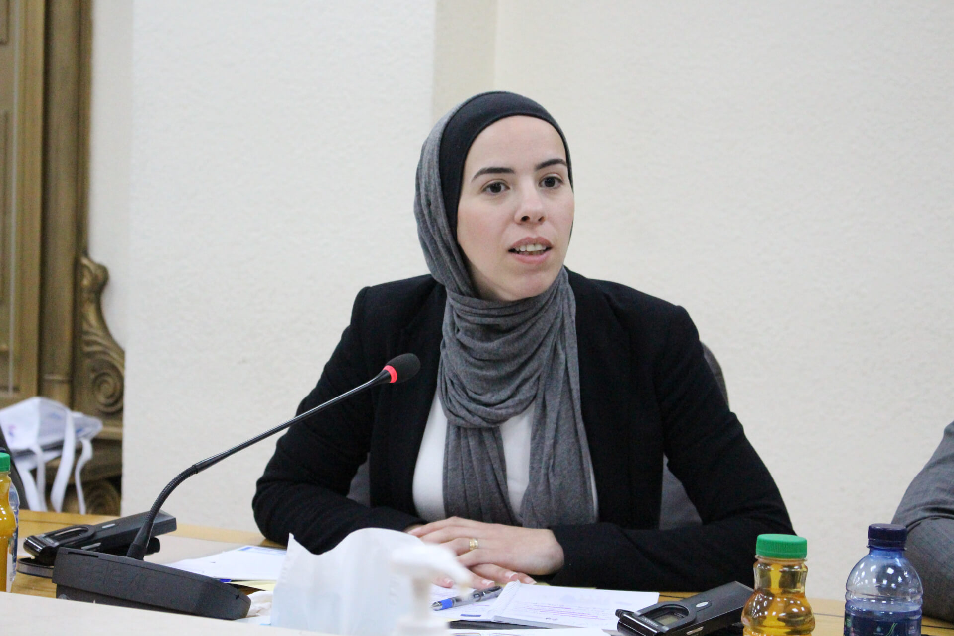 - | EFI - EuroMed Feminist Initiative