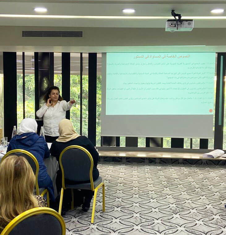 - | EFI - EuroMed Feminist Initiative