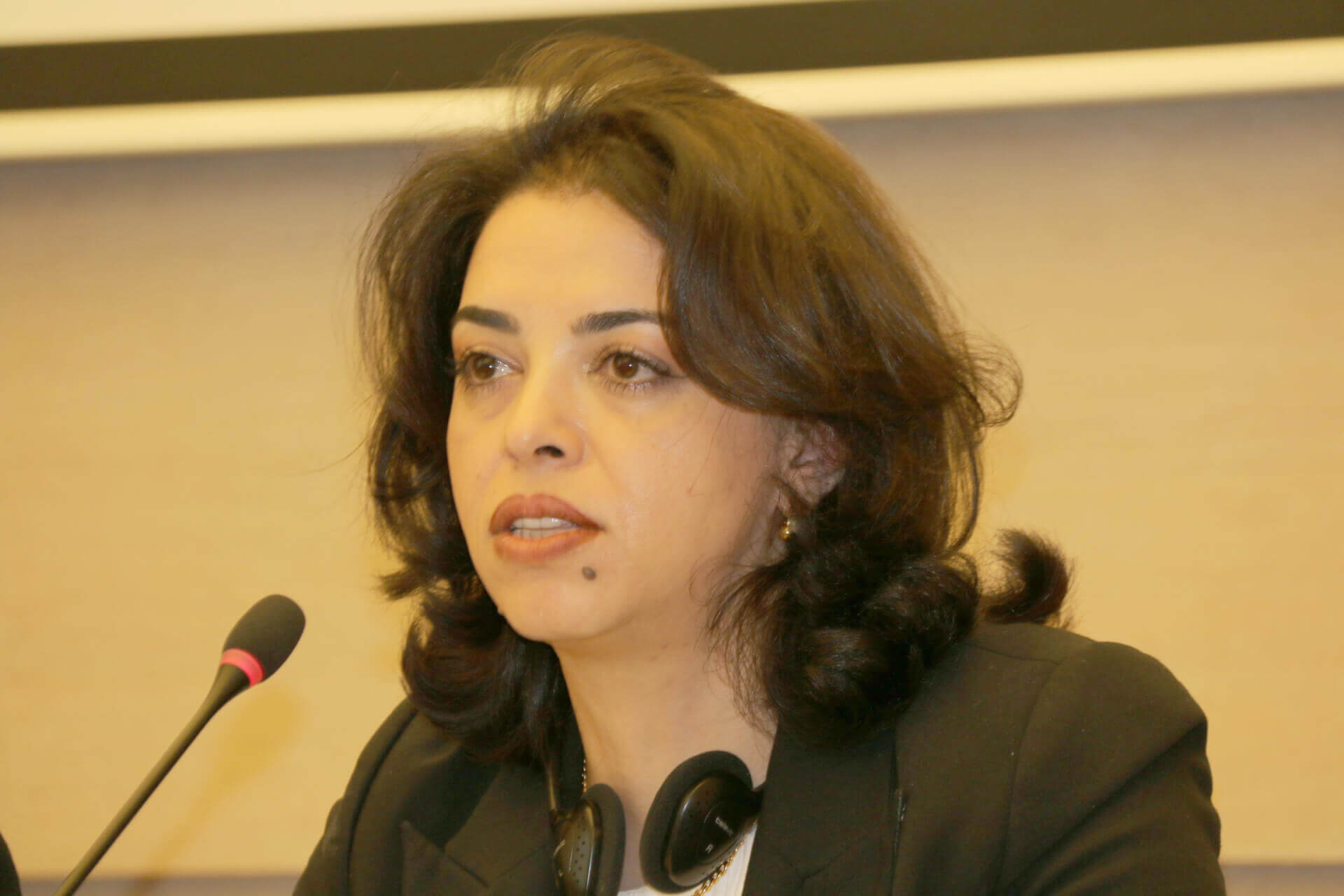 - | EFI - EuroMed Feminist Initiative