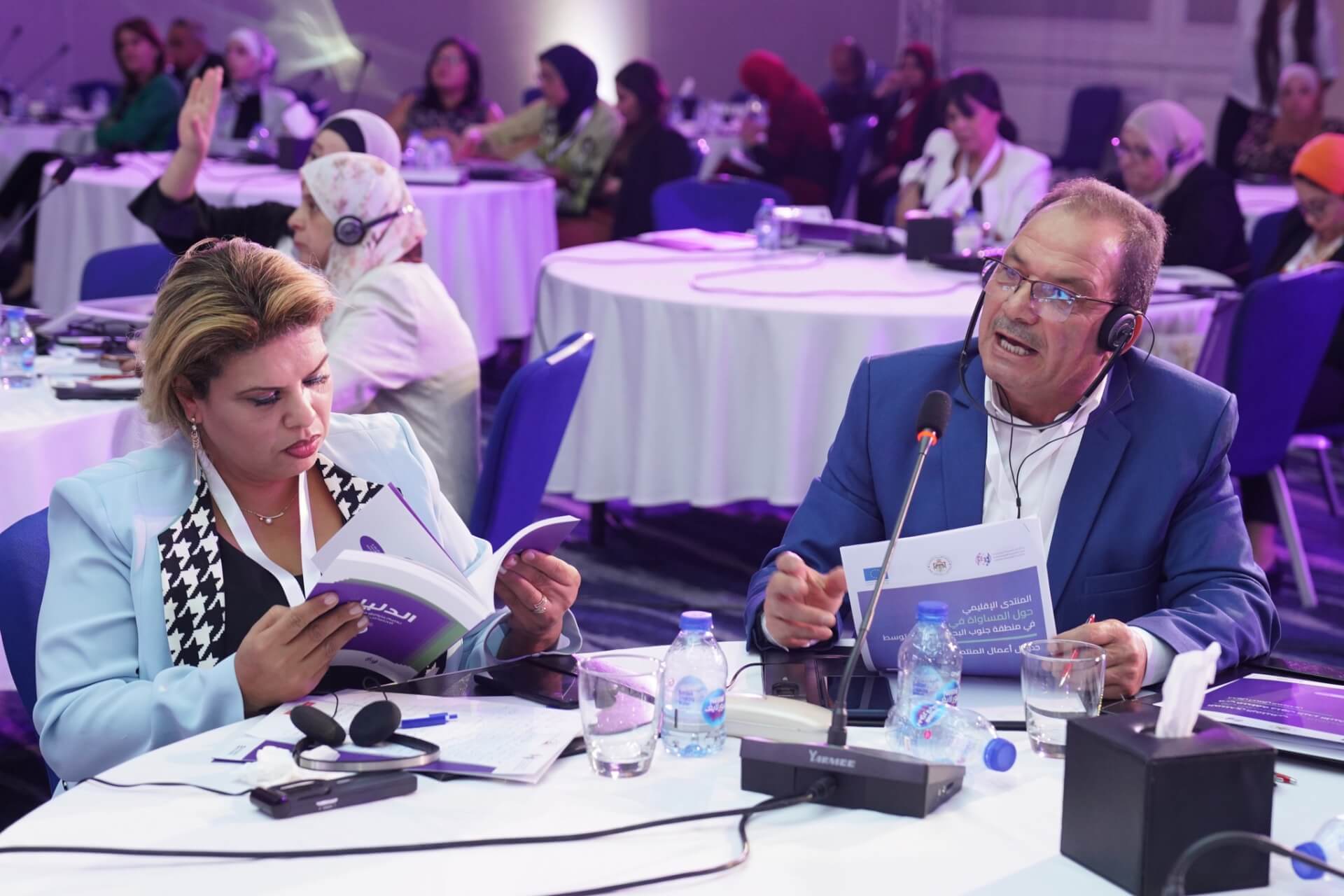 - | EFI - EuroMed Feminist Initiative