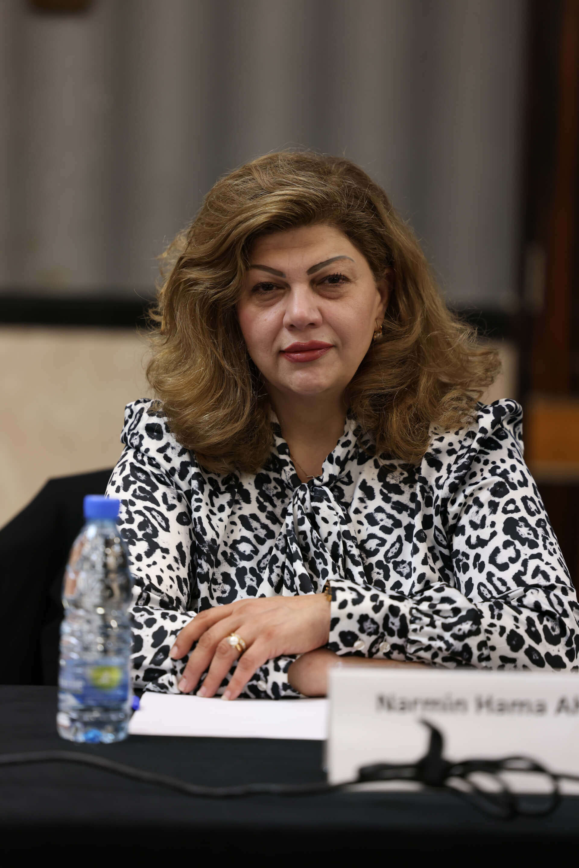 - | EFI - EuroMed Feminist Initiative