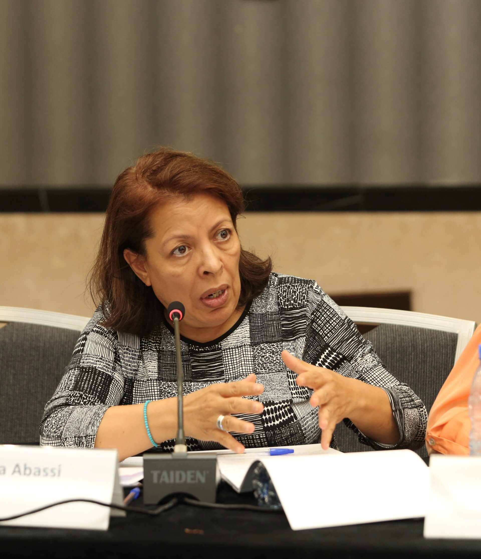 - | EFI - EuroMed Feminist Initiative