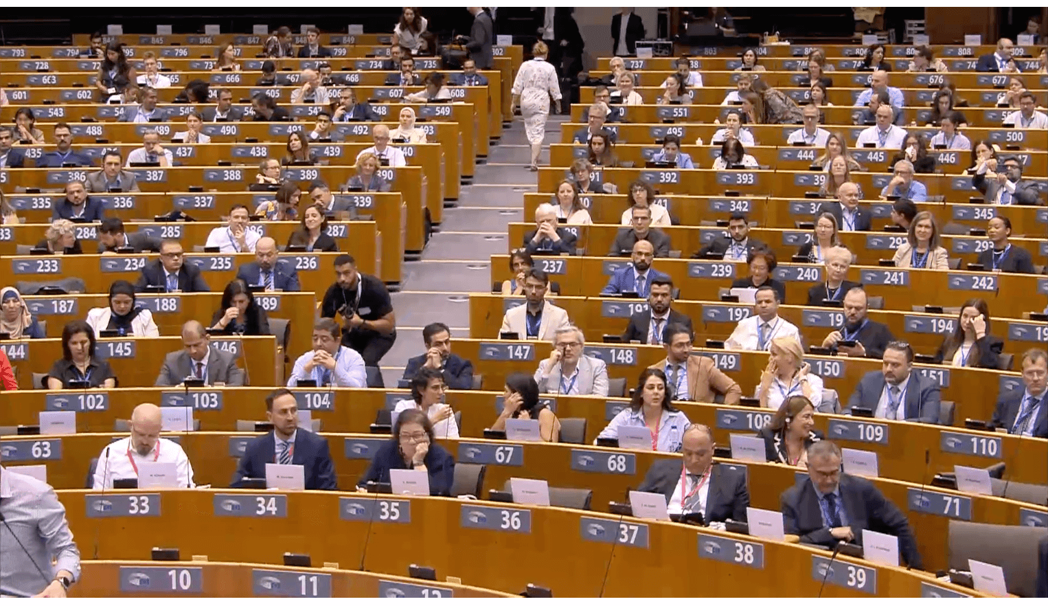 - | EFI - EuroMed Feminist Initiative