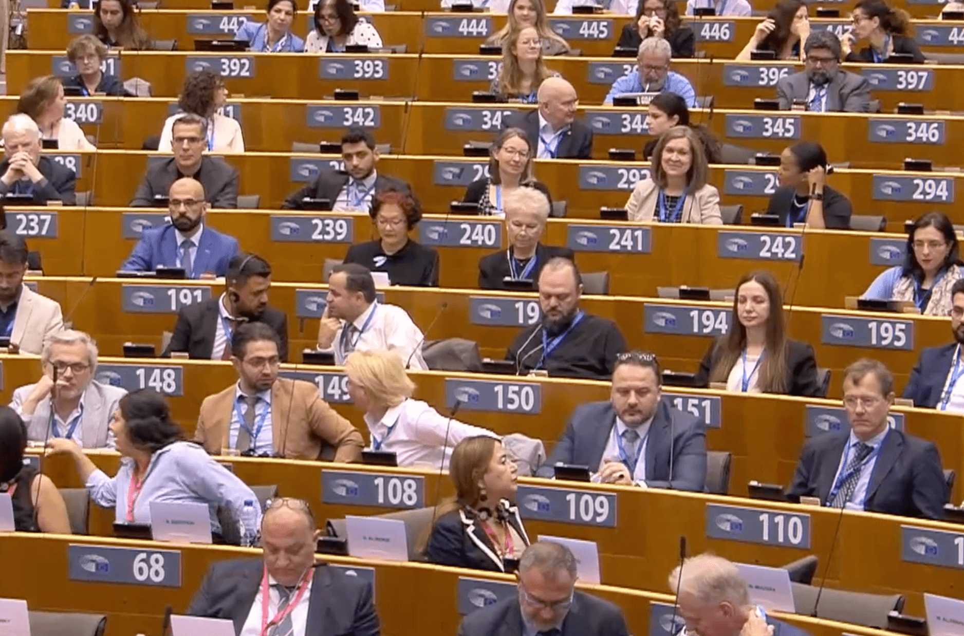 - | EFI - EuroMed Feminist Initiative