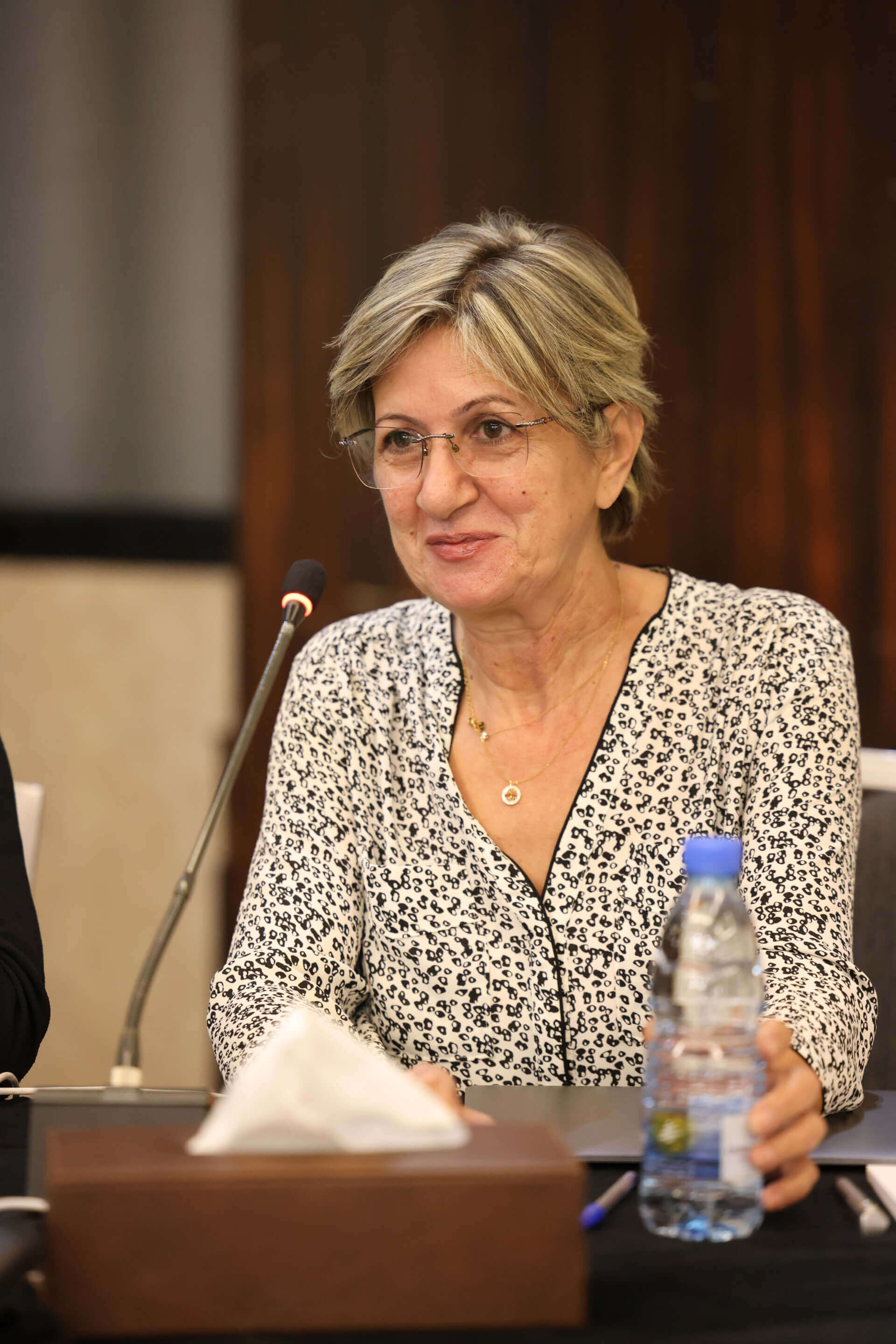 - | EFI - EuroMed Feminist Initiative