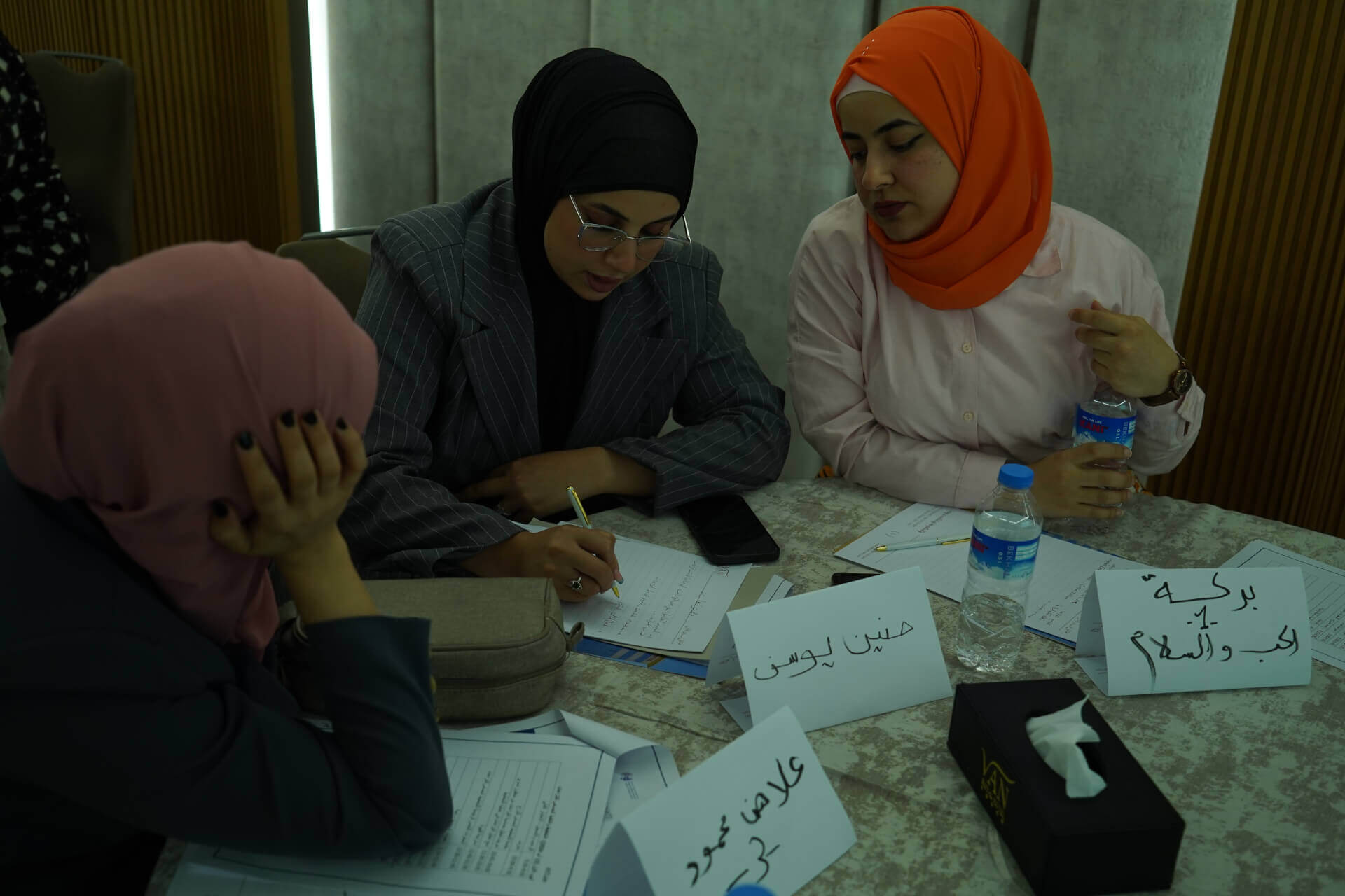 - | EFI - EuroMed Feminist Initiative