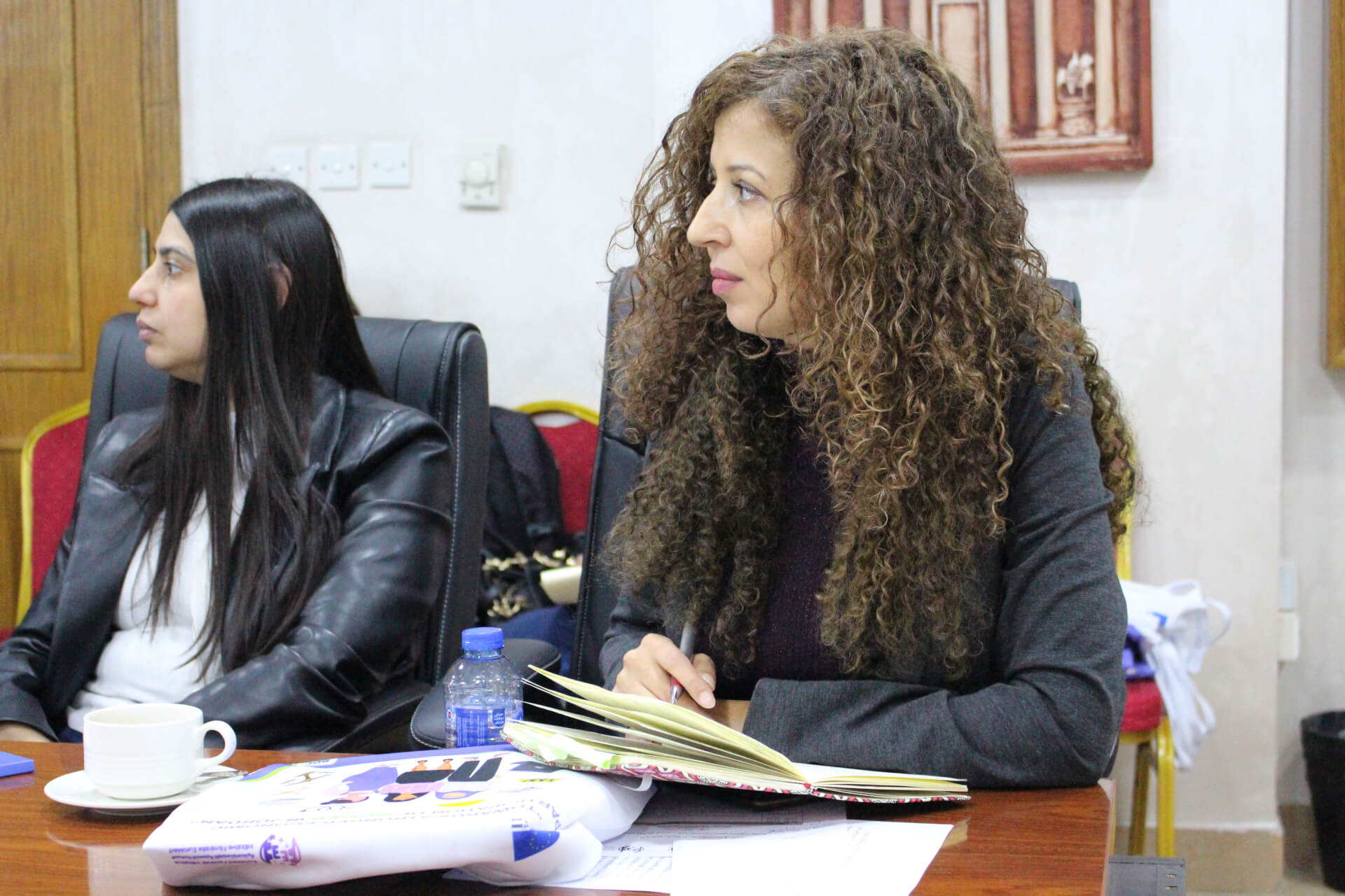 - | EFI - EuroMed Feminist Initiative