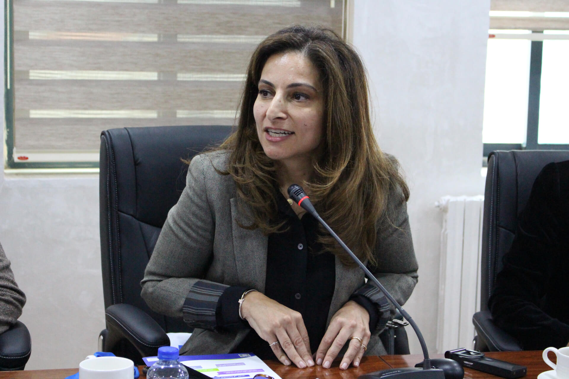 - | EFI - EuroMed Feminist Initiative