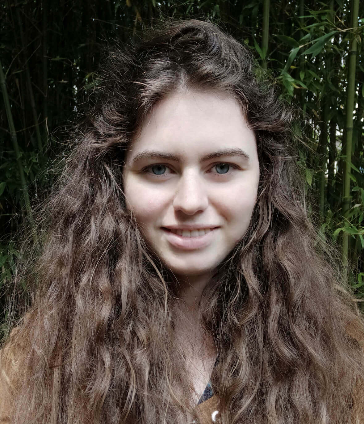 Ravaillault, I. | IICIMED