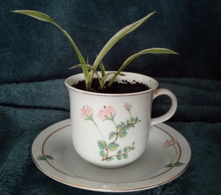 - | Au Bonheur des Bennes - recyclerie de l'estuaire