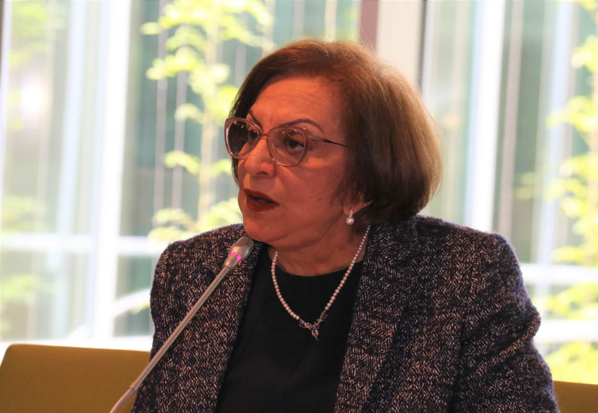 - | EFI - EuroMed Feminist Initiative