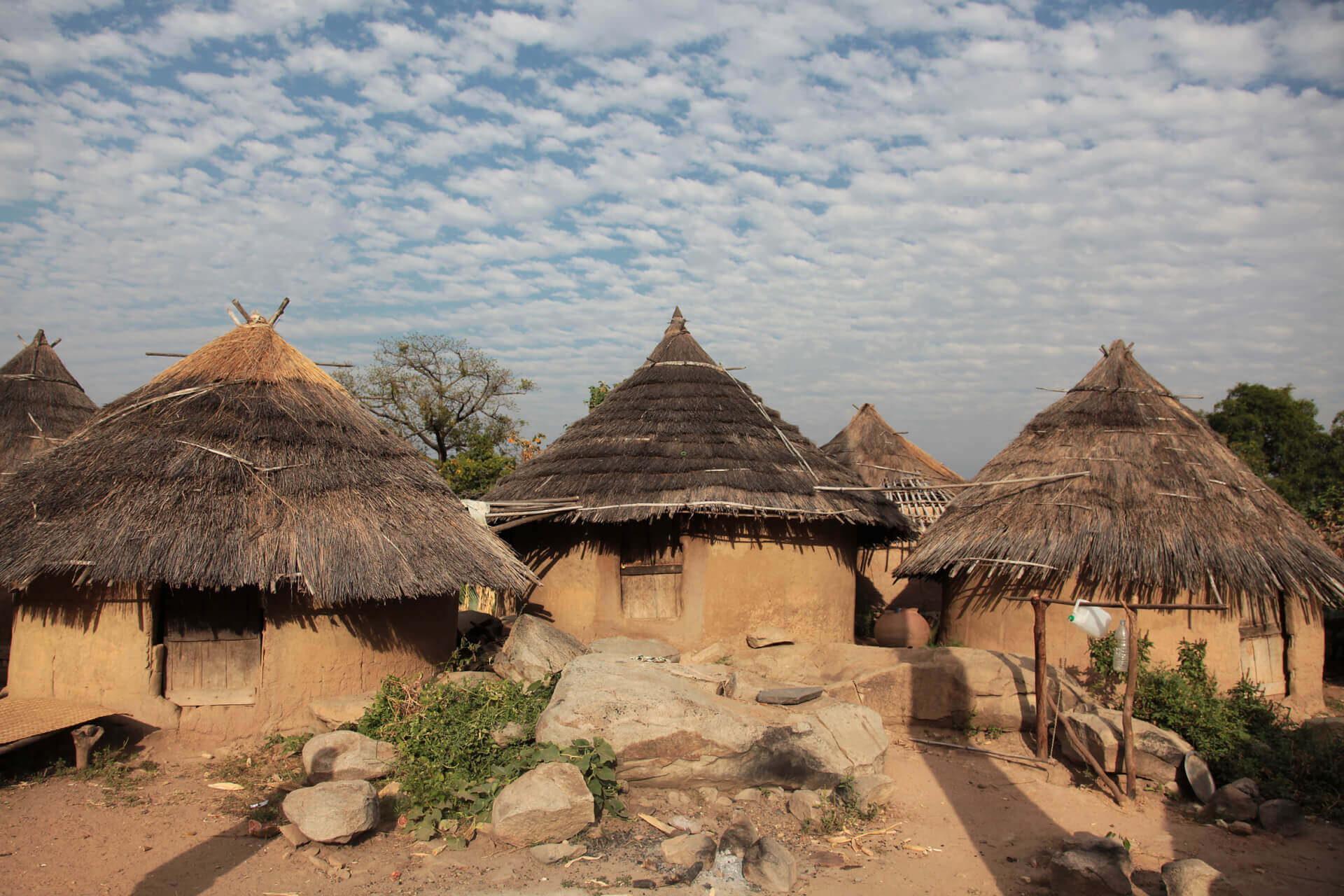 Sur la piste du Caméléon | Aide Médicale et Développement - AMD