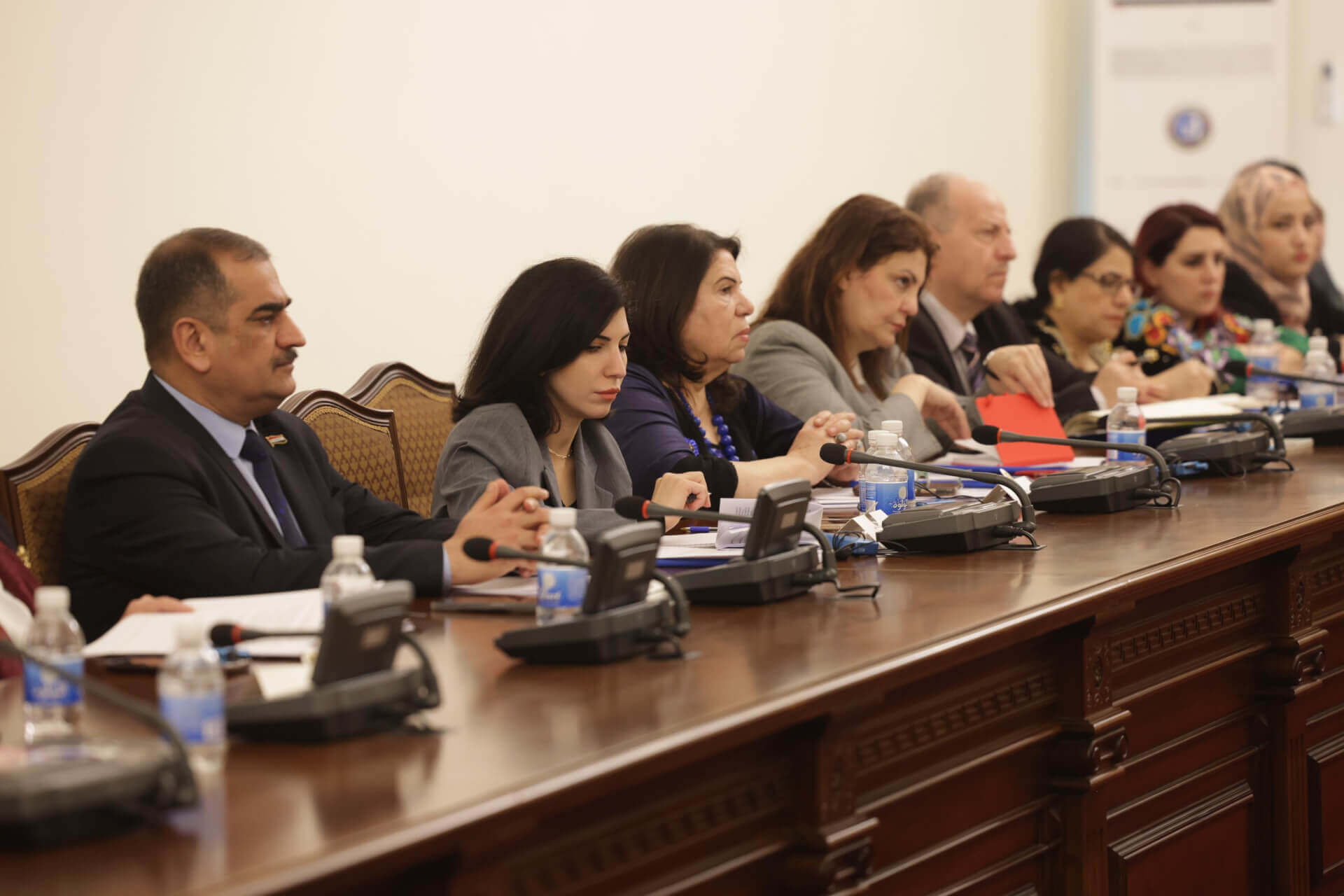 - | EFI - EuroMed Feminist Initiative