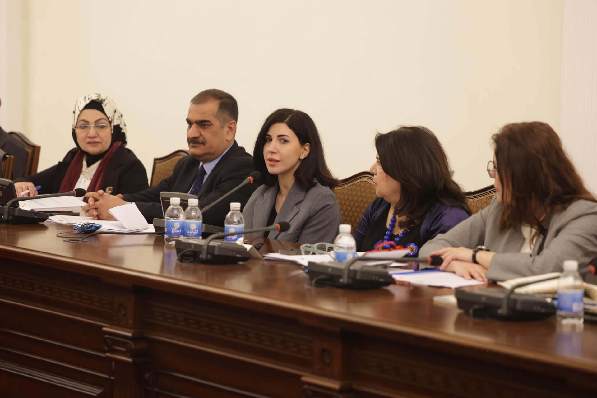 - | EFI - EuroMed Feminist Initiative