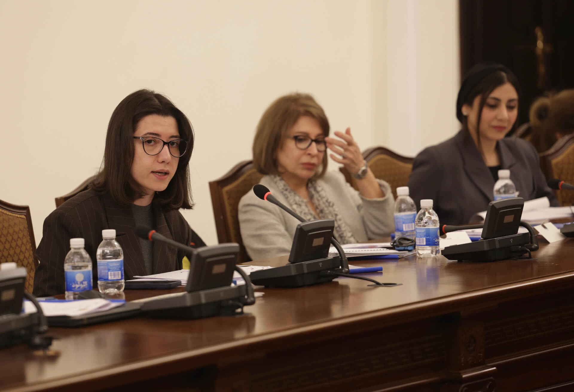 - | EFI - EuroMed Feminist Initiative