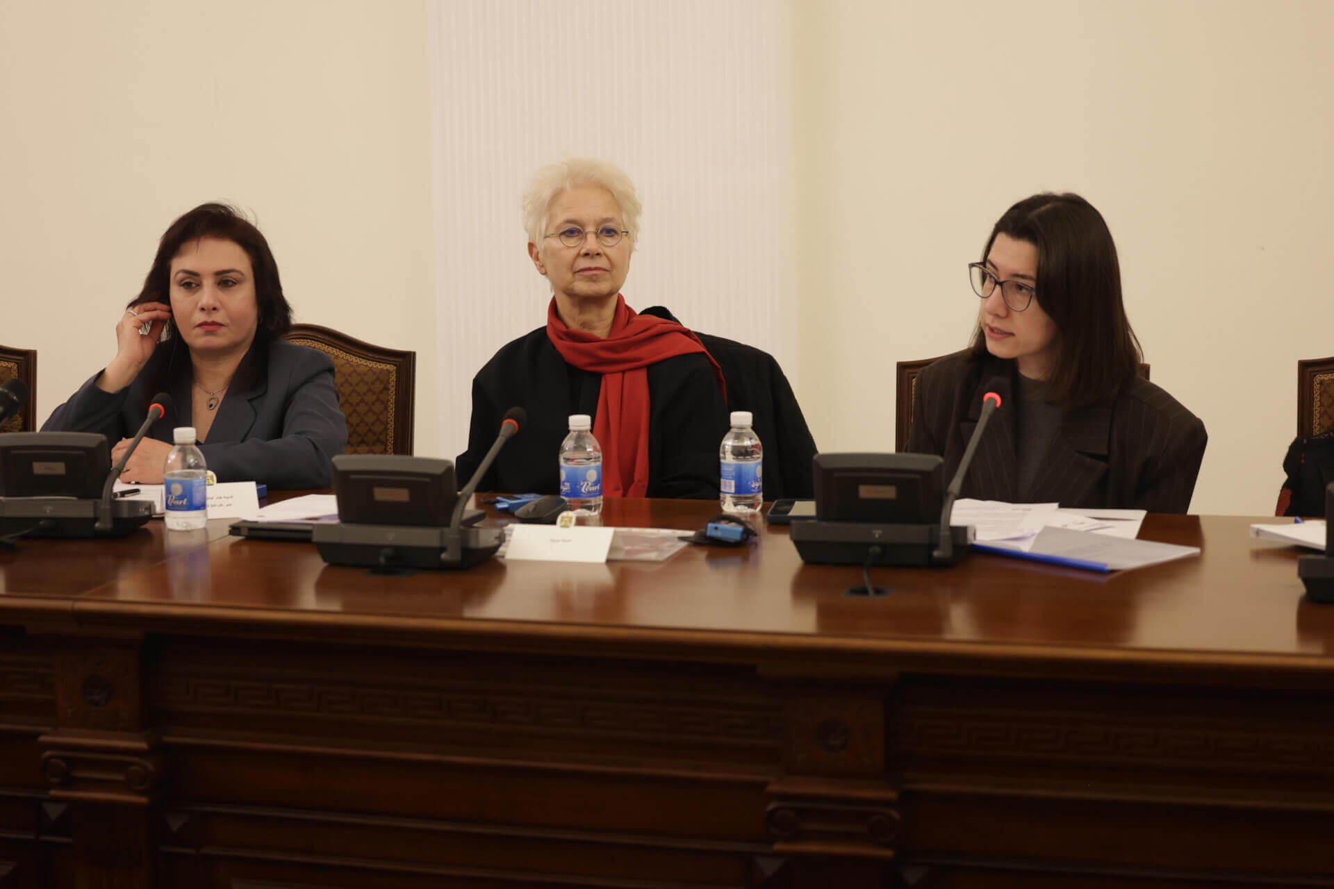 - | EFI - EuroMed Feminist Initiative