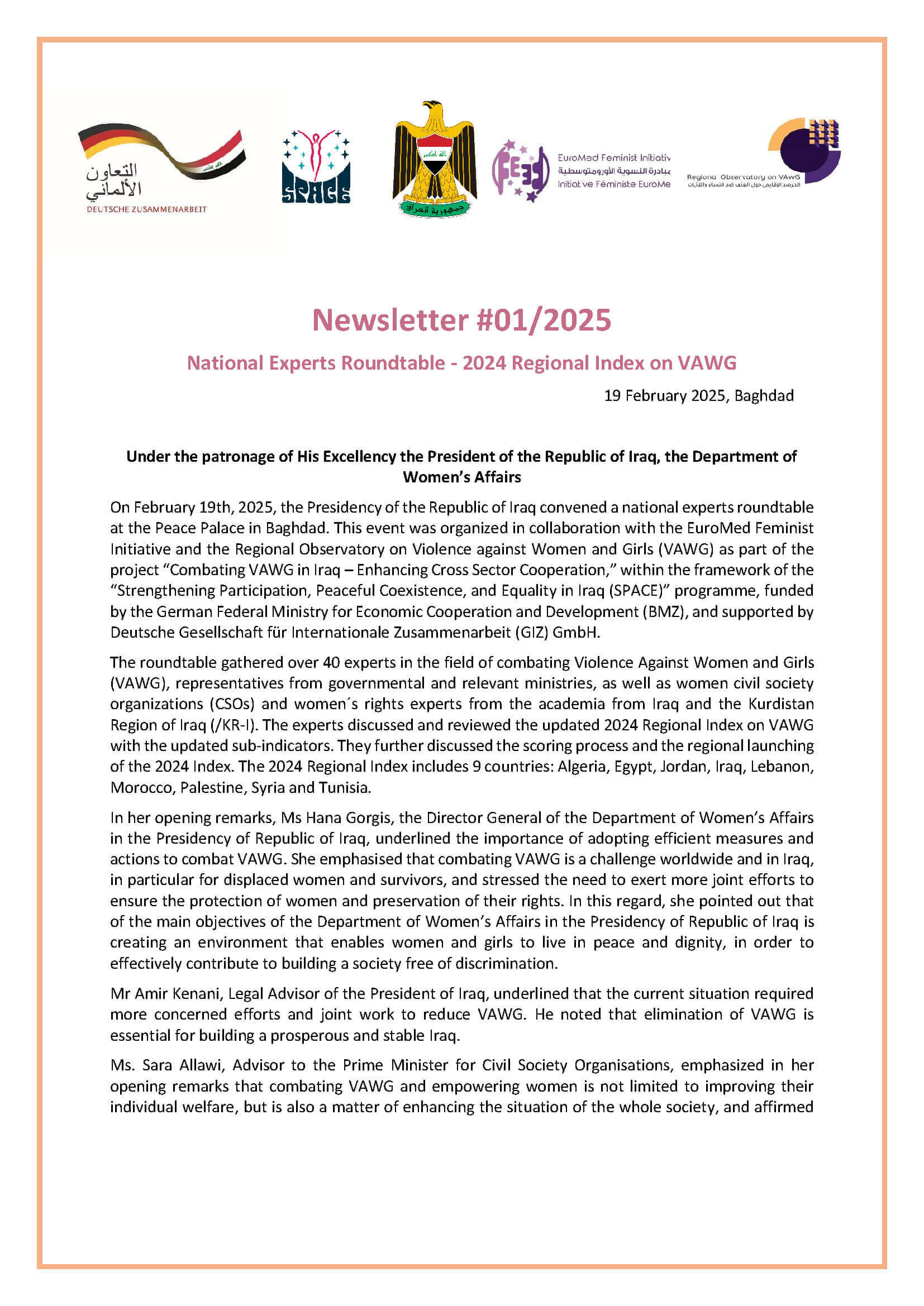 Newsletter: National Experts Roundtable – Updated 2024 Regional Index on VAWG | EFI - EuroMed Feminist Initiative