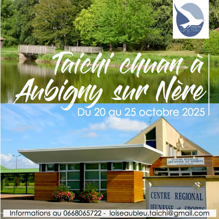 Nouveau stage à la rentrée | L'Oiseau Bleu/QingNiao