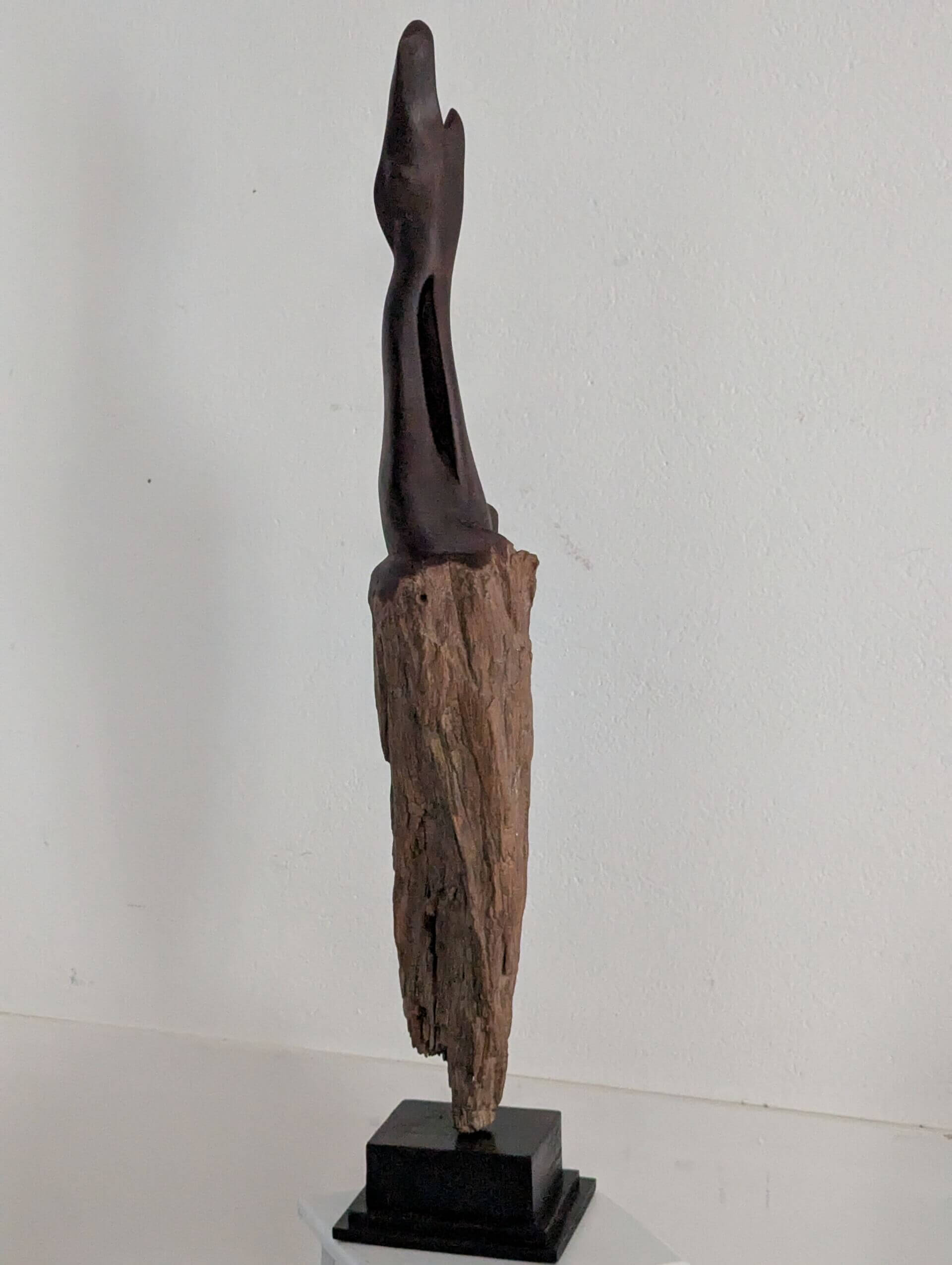 l'oiseau | Eric Delmare