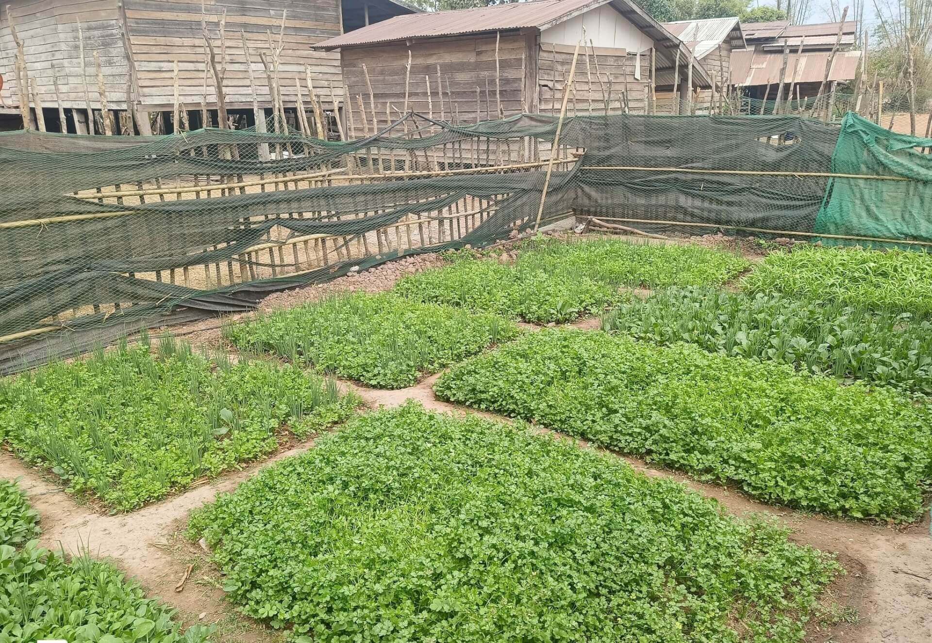 - | Sourires d'Enfants