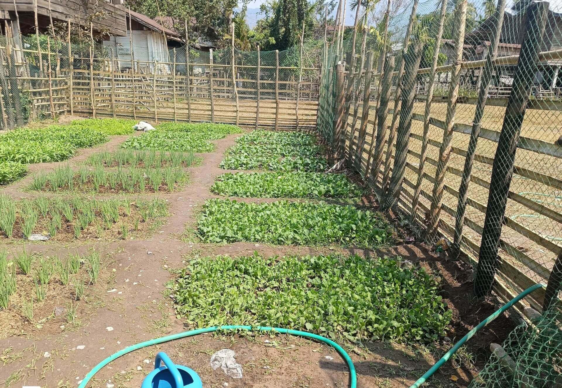 - | Sourires d'Enfants