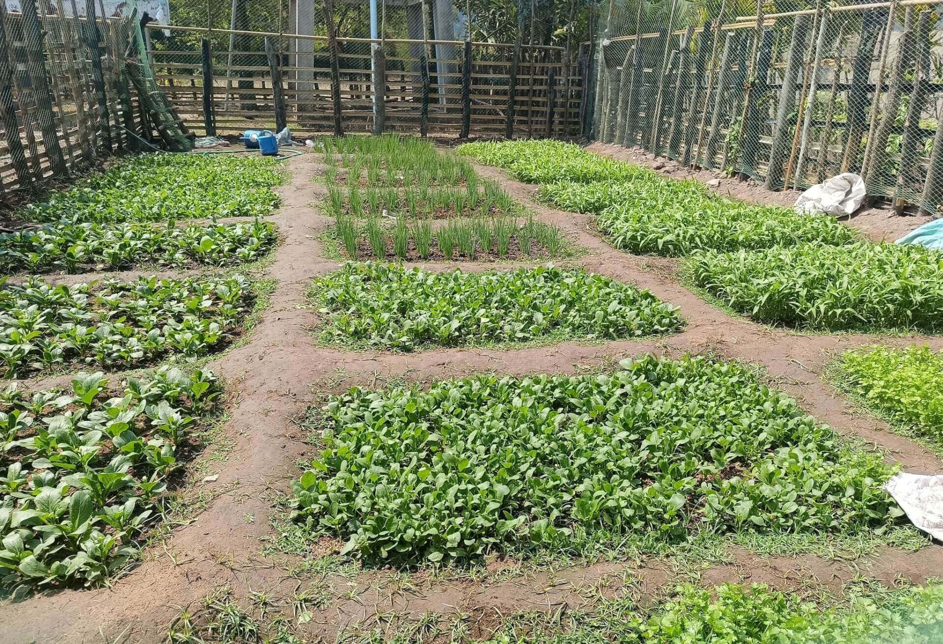 - | Sourires d'Enfants