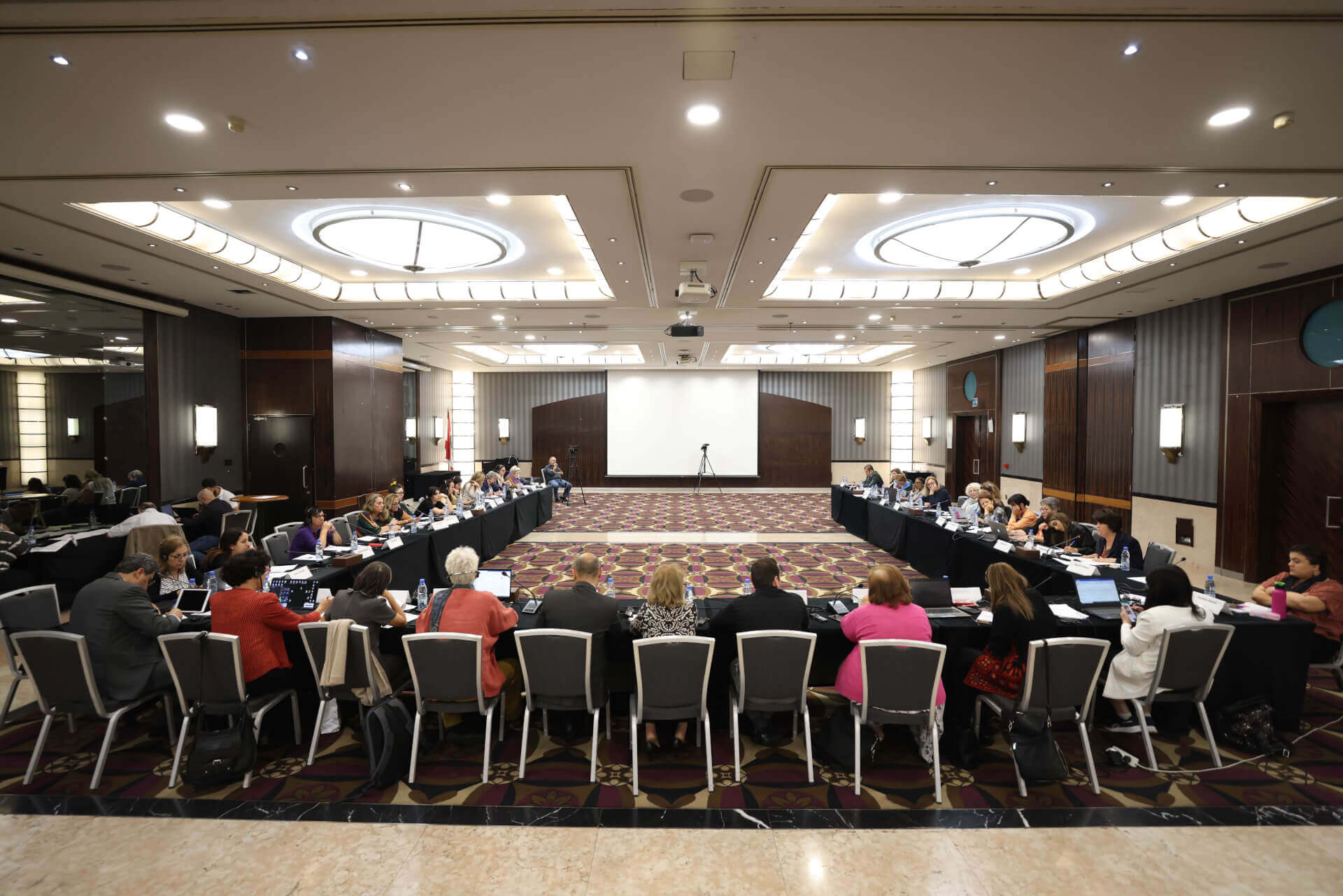 EFI - EuroMed Feminist Initiative