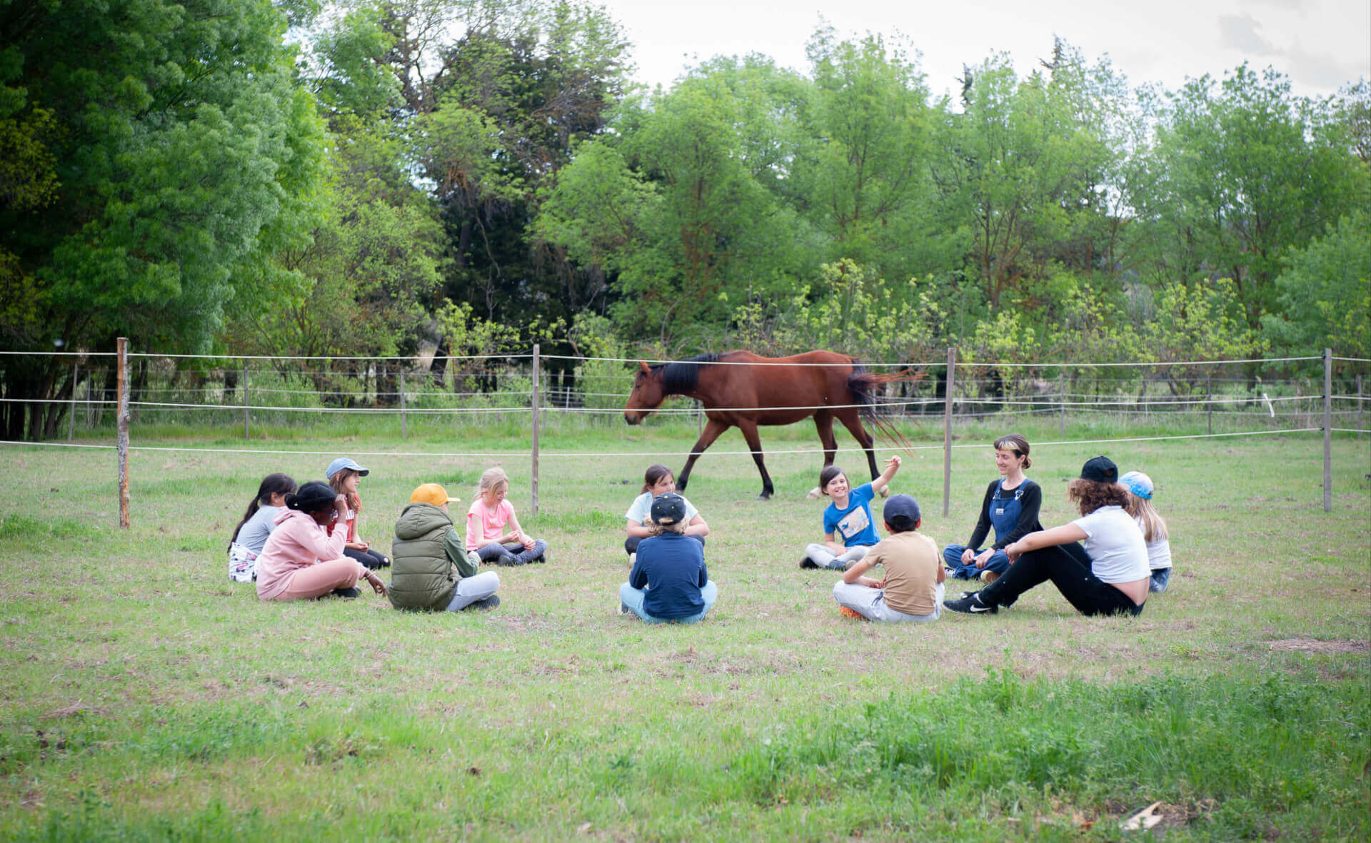 La Ferme thérapeutique La Consoude