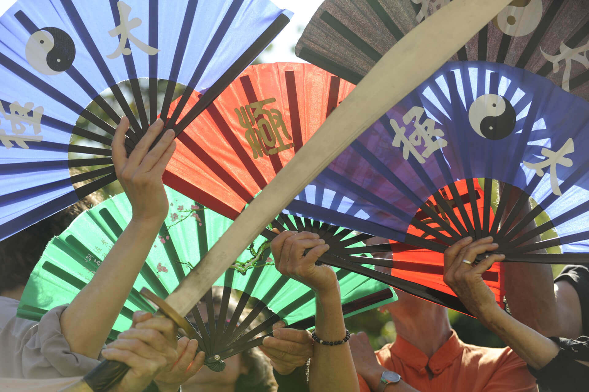 Les Cours | L'Oiseau Bleu/QingNiao