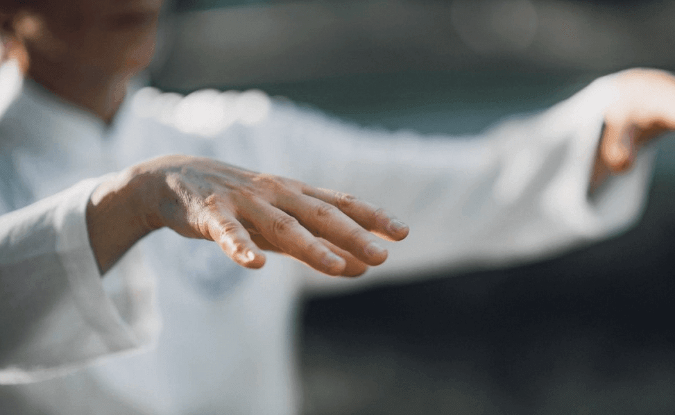 Qi Gong | L'Oiseau Bleu/QingNiao