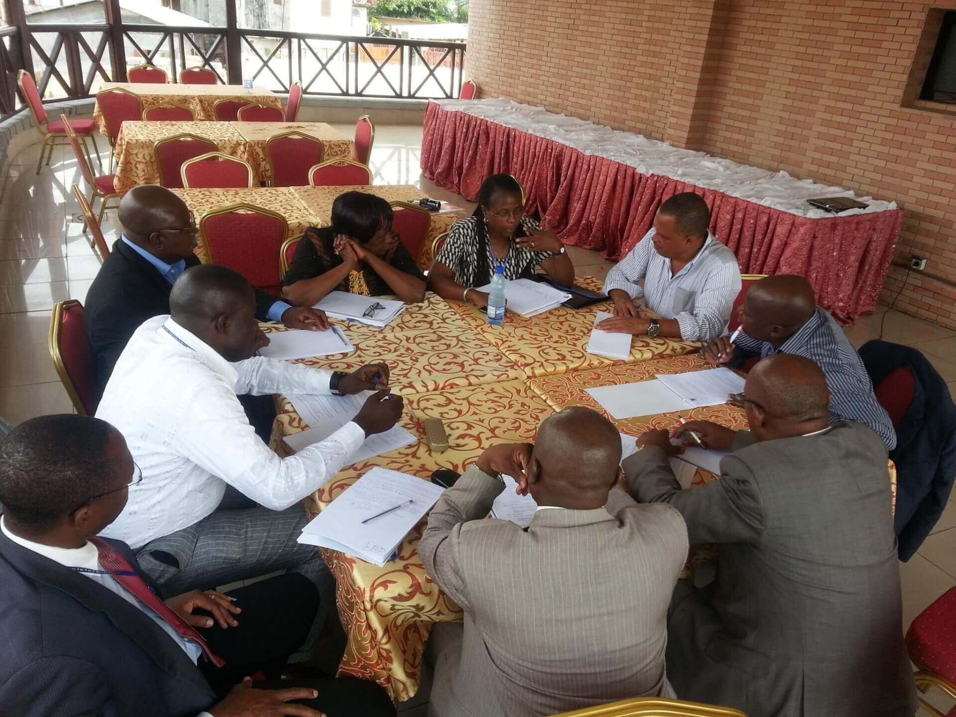 REPONGAC - Réseau des Plate-formes des ONG de l'Afrique Centrale