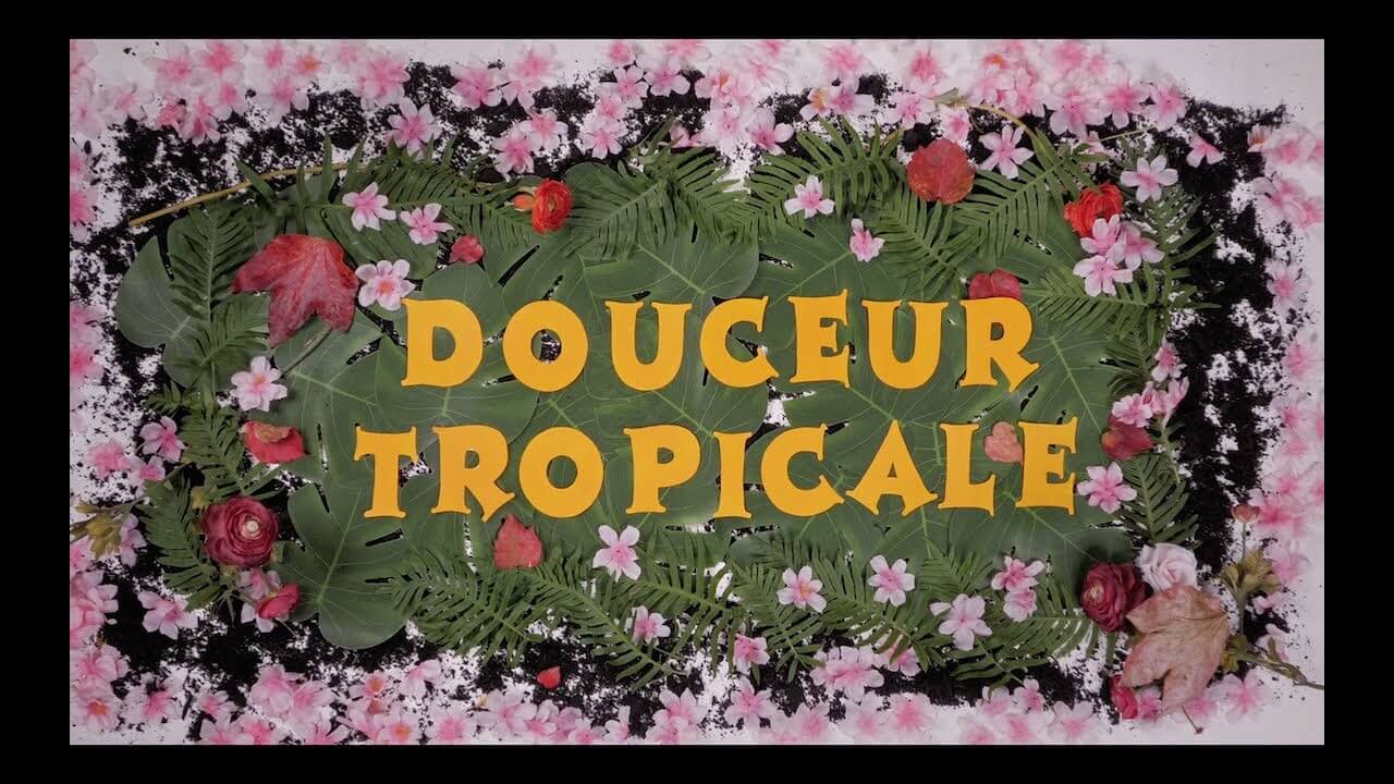 Douceur Tropicale : La Sonora Mazurén