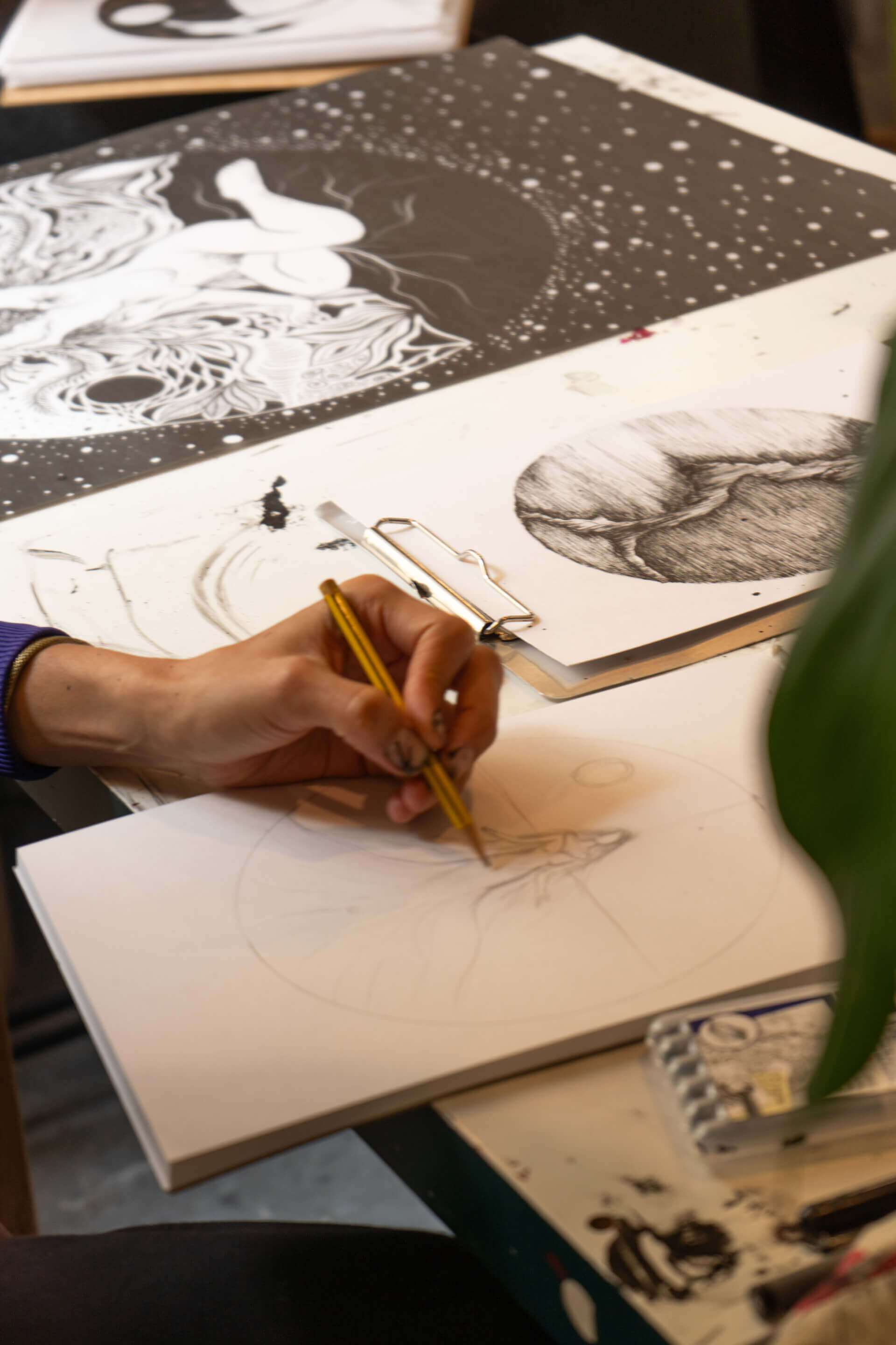 Conception et animation d'ateliers | Liana Perez