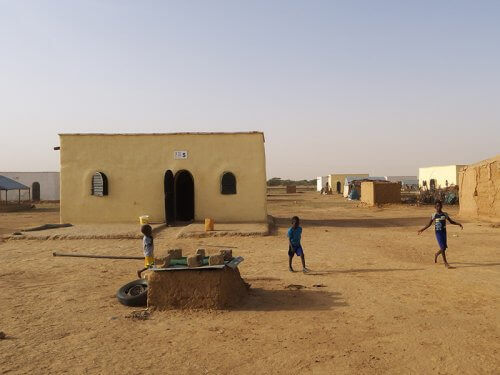 Désertification et habitat : comment AVN contribue à la préservation des écosystèmes en Afrique | La Voûte Nubienne