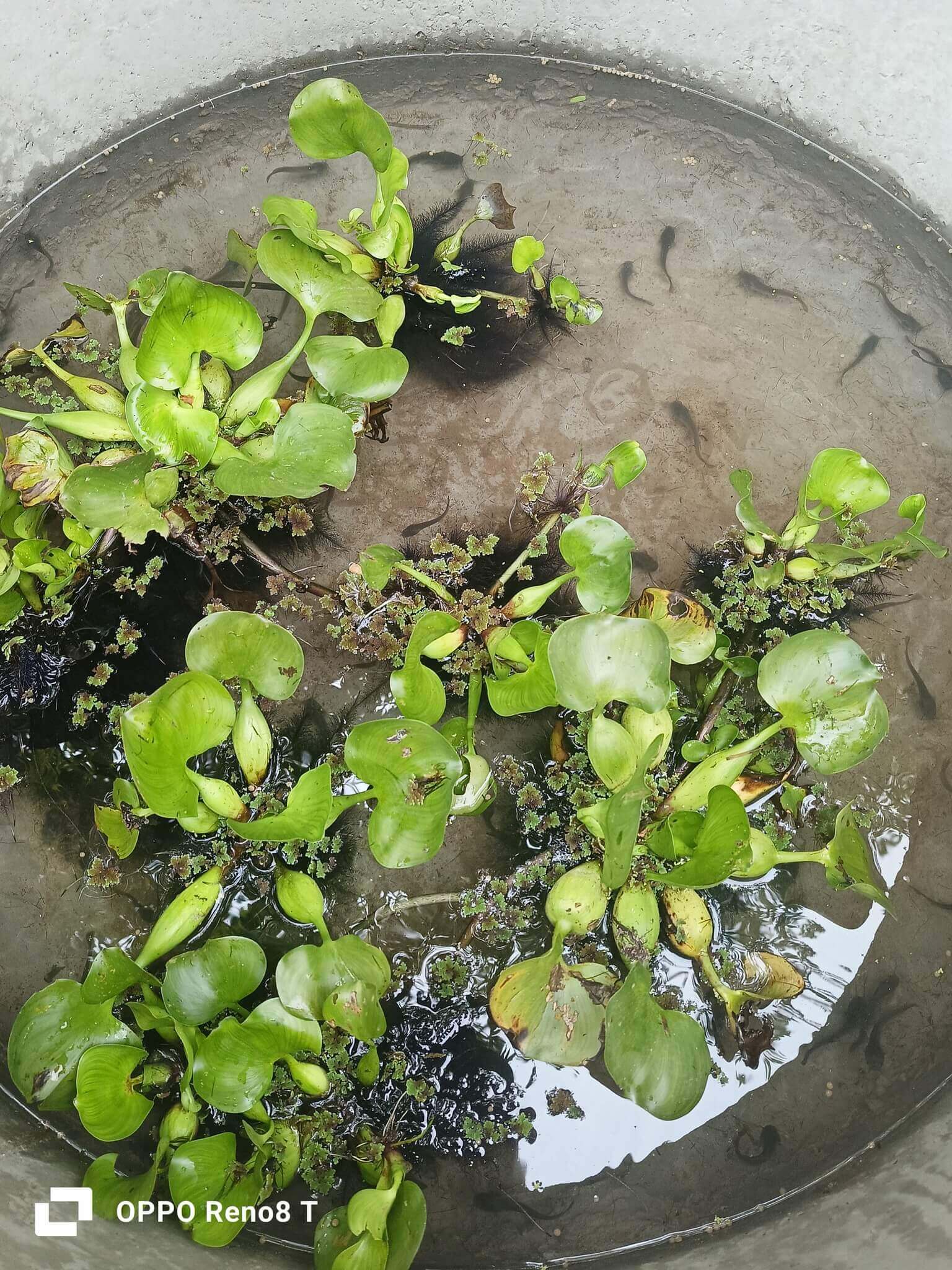 - | Sourires d'Enfants