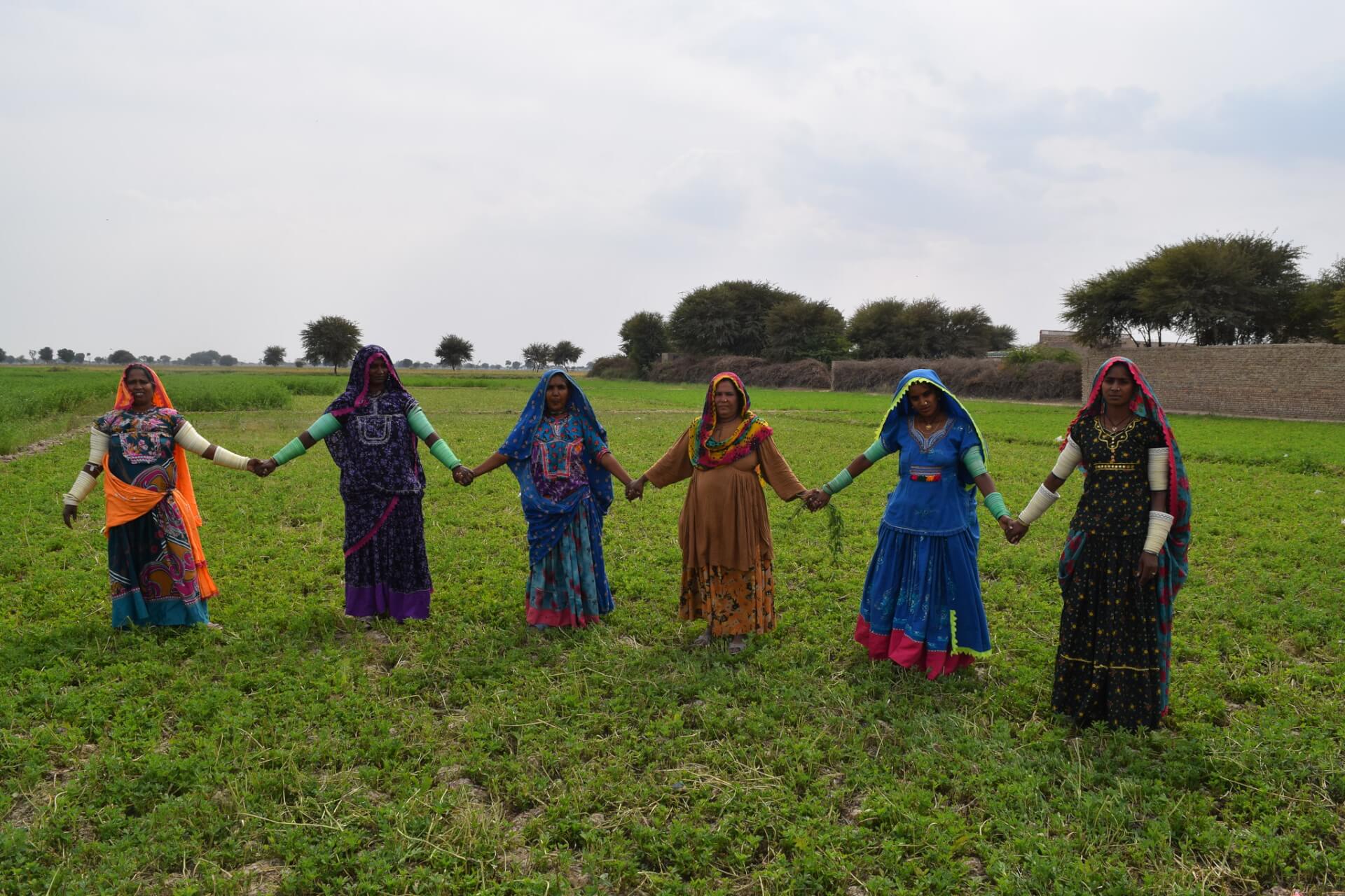 Case Study: Recognizing Women Agricultural Workers in Pakistan's Labour Code 2024 – A Milestone in Social Protection | Forus