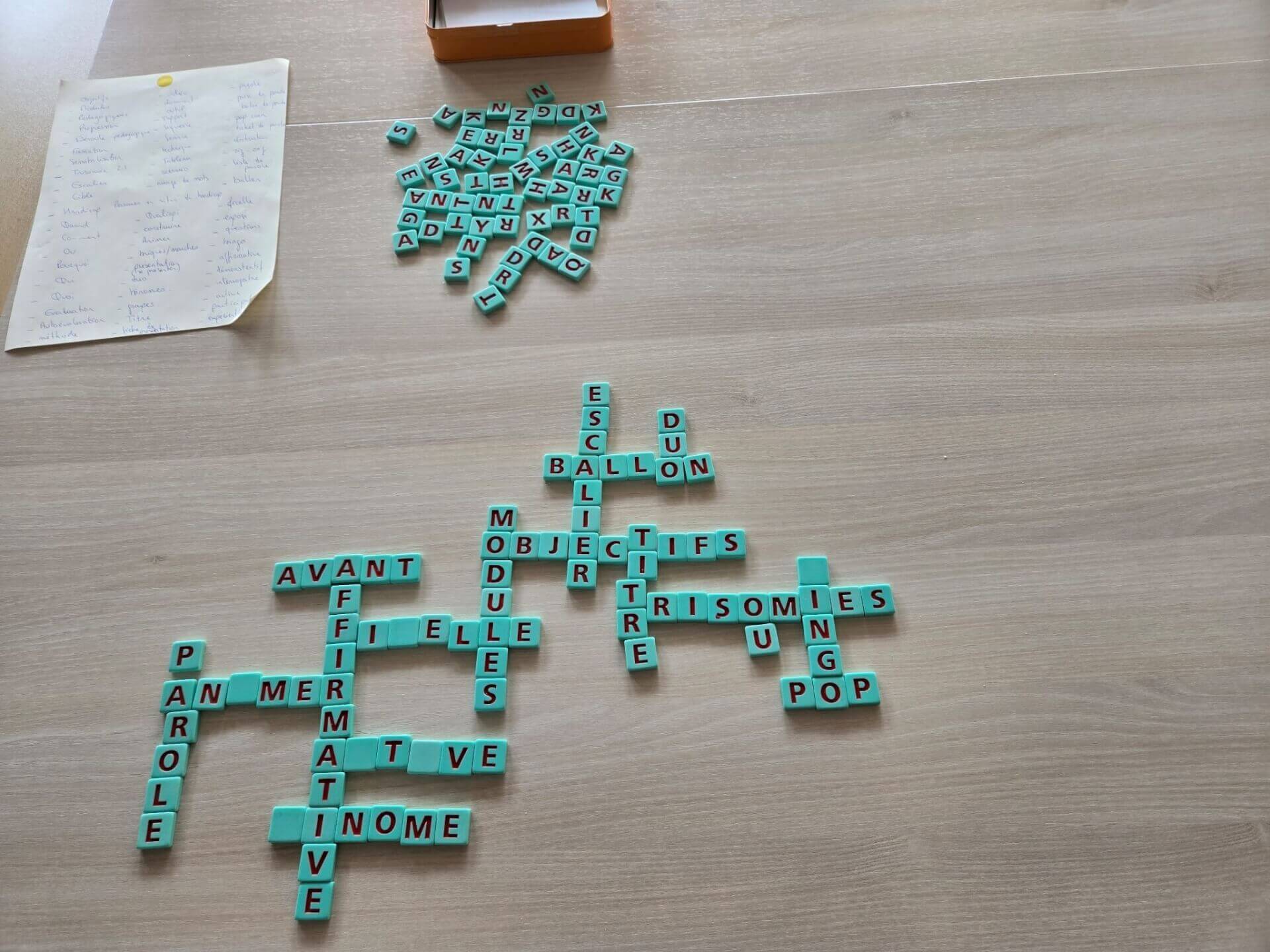 Trisomie 21 Nouvelle Aquitaine