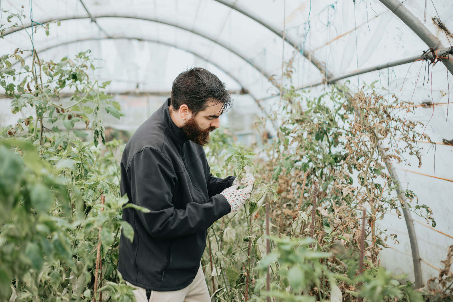 Compétences et Développement | Adrim