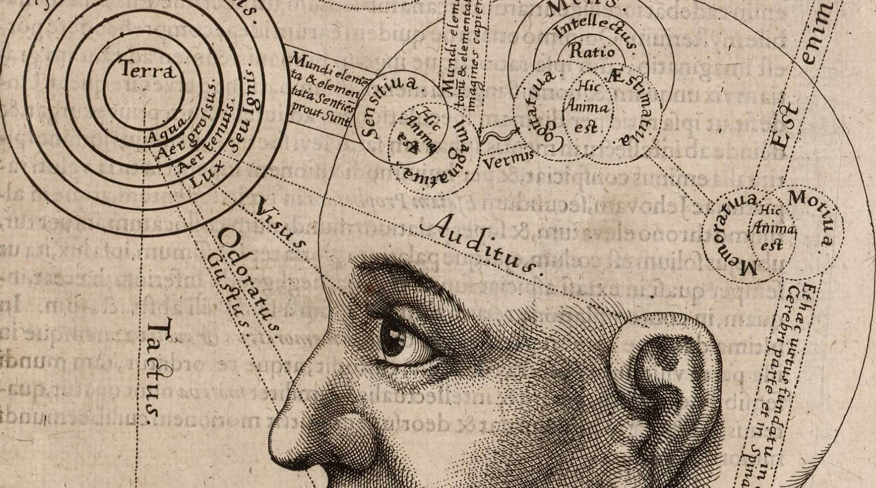 LABO D'ARTS VIVANTS - Désir dédale : écrire et tracer nos eldorados | La Réplique