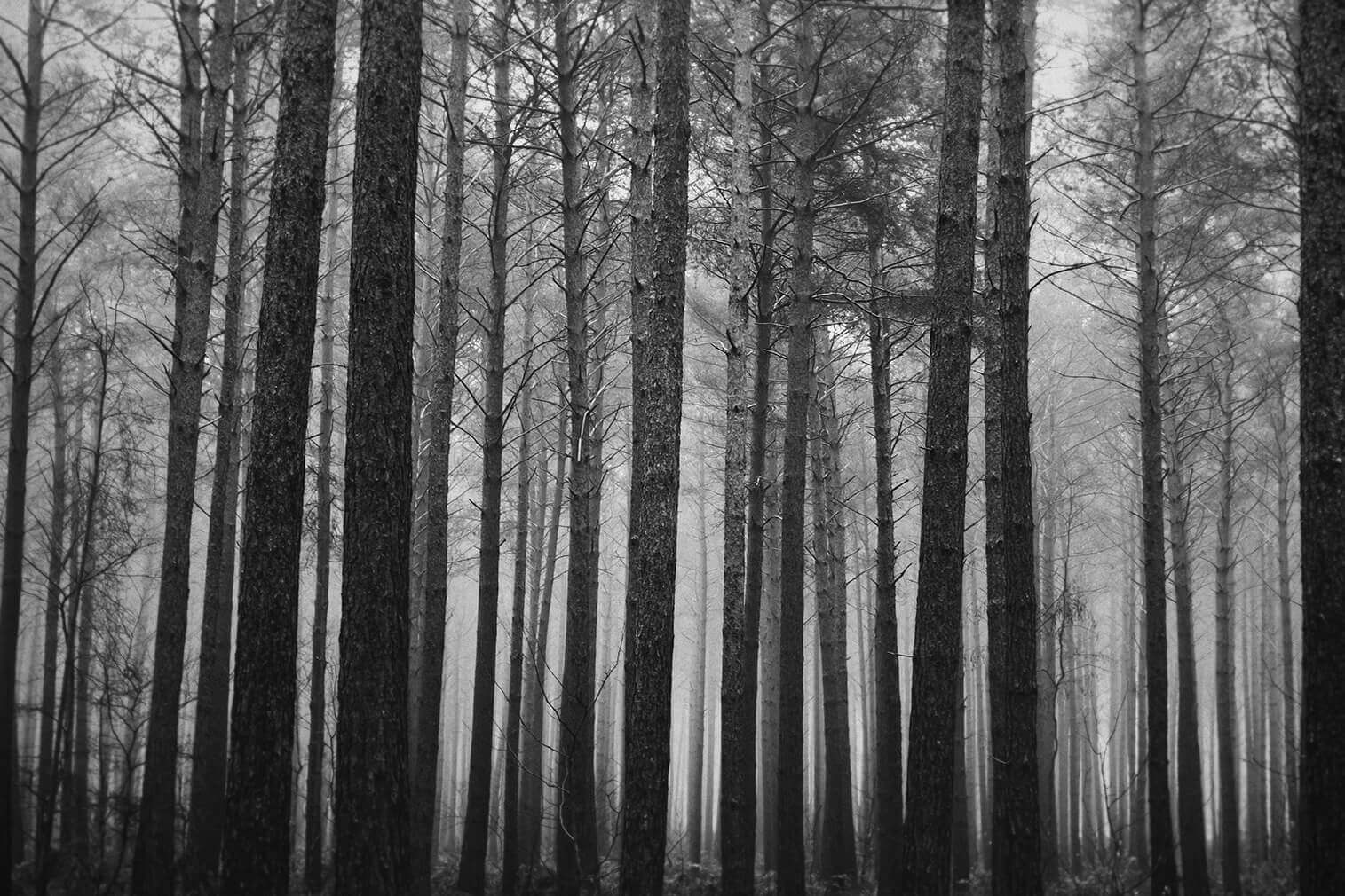 RENCONTRE PRO - Le Pays innocent | La Réplique