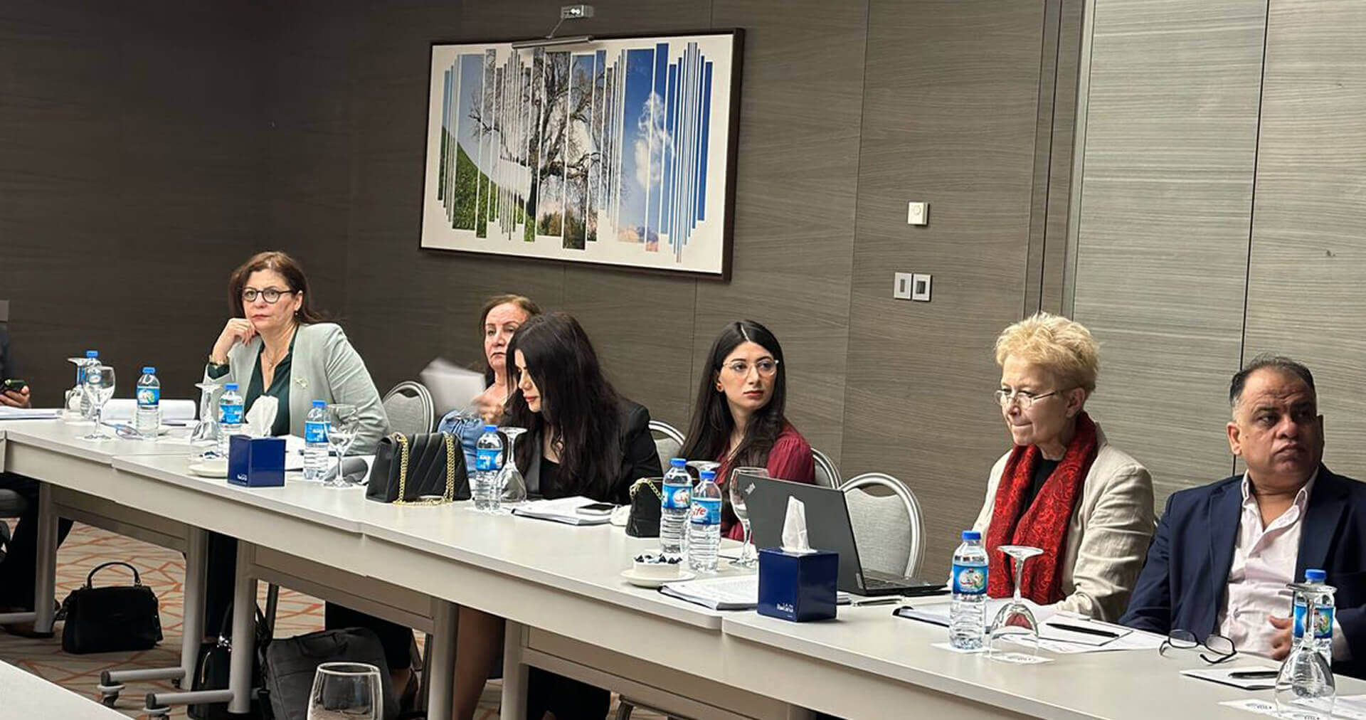 - | EFI - EuroMed Feminist Initiative