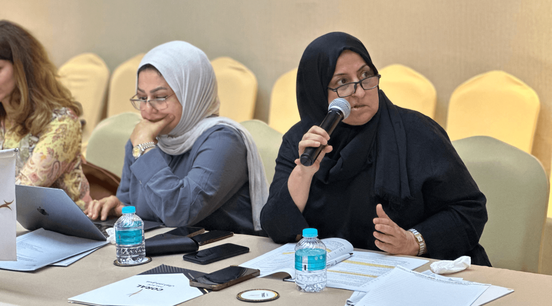 - | EFI - EuroMed Feminist Initiative