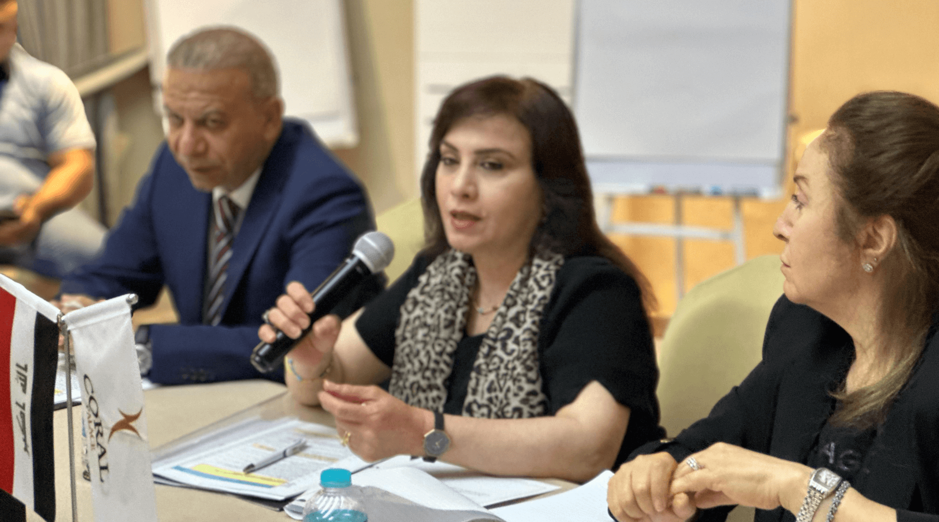 - | EFI - EuroMed Feminist Initiative