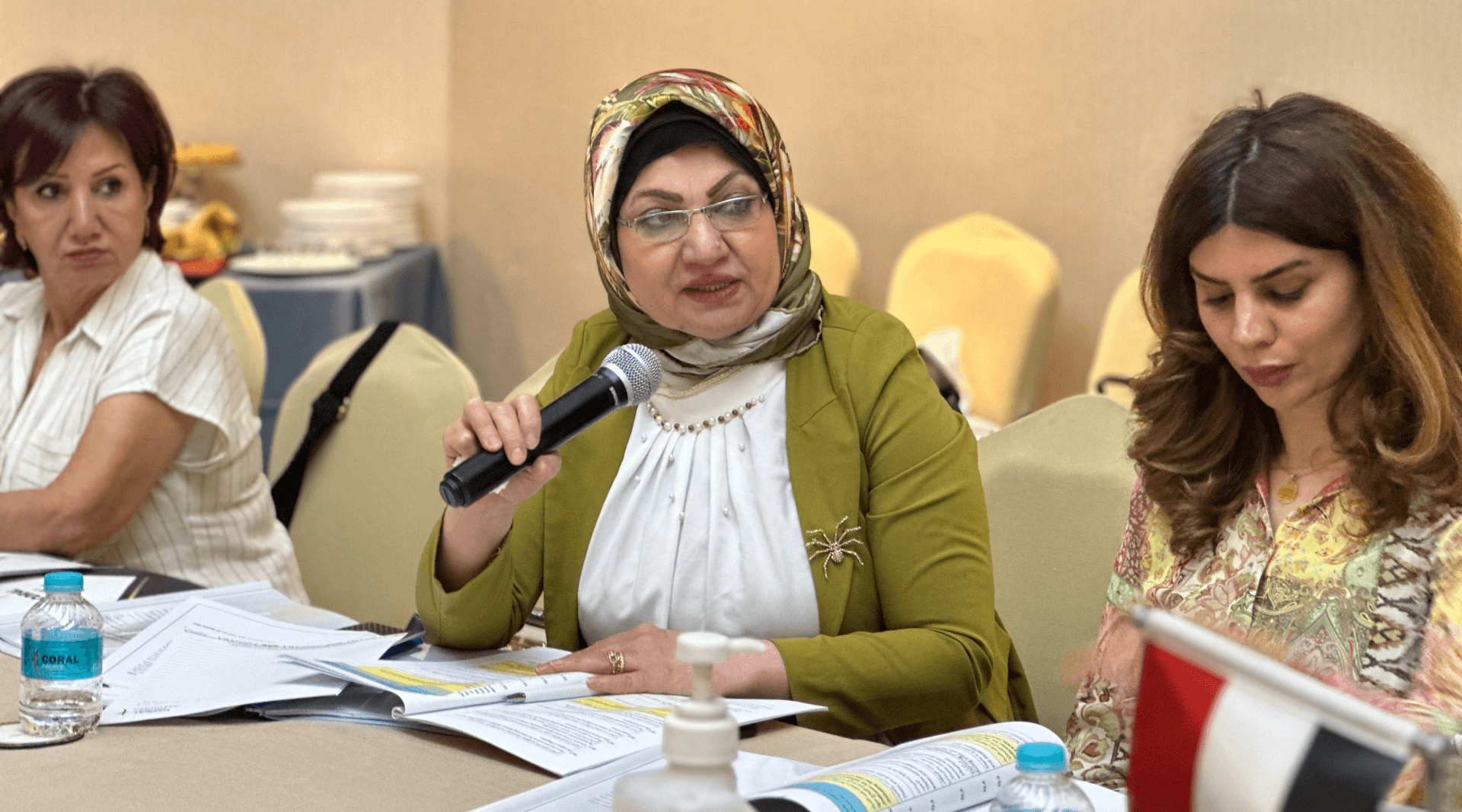 - | EFI - EuroMed Feminist Initiative