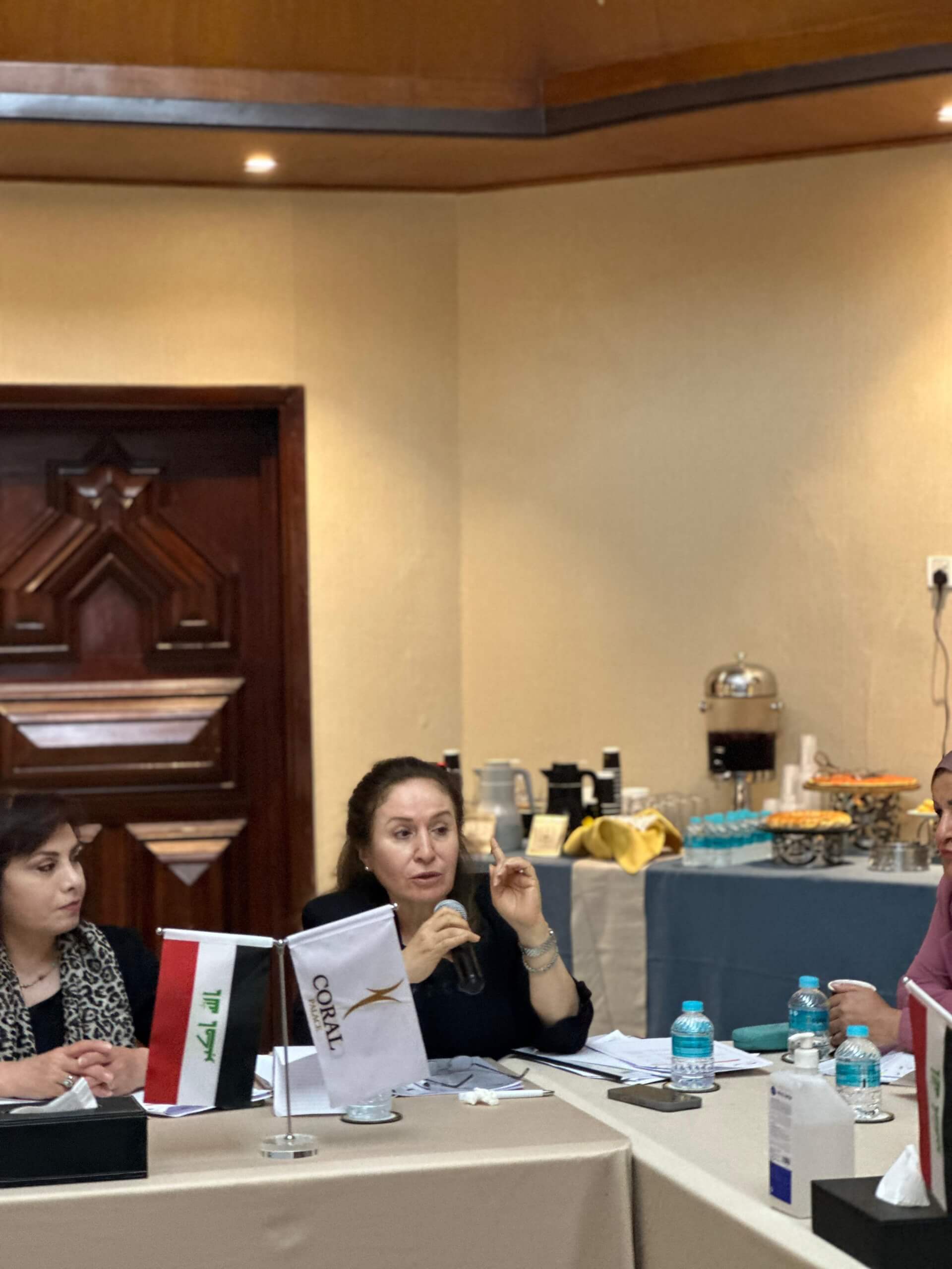 - | EFI - EuroMed Feminist Initiative