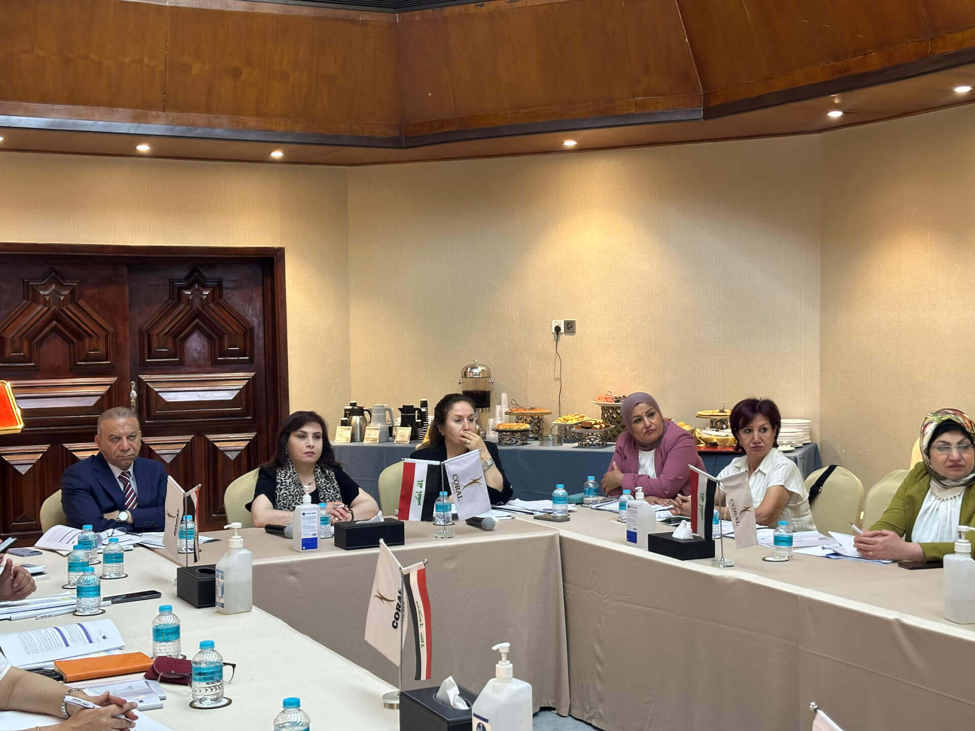 - | EFI - EuroMed Feminist Initiative