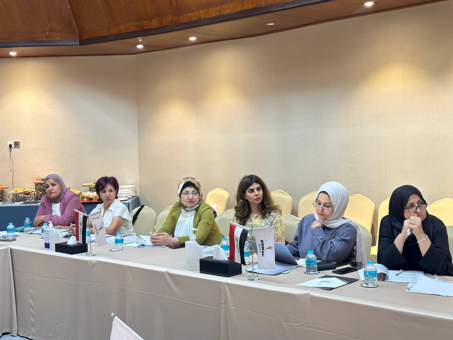 - | EFI - EuroMed Feminist Initiative