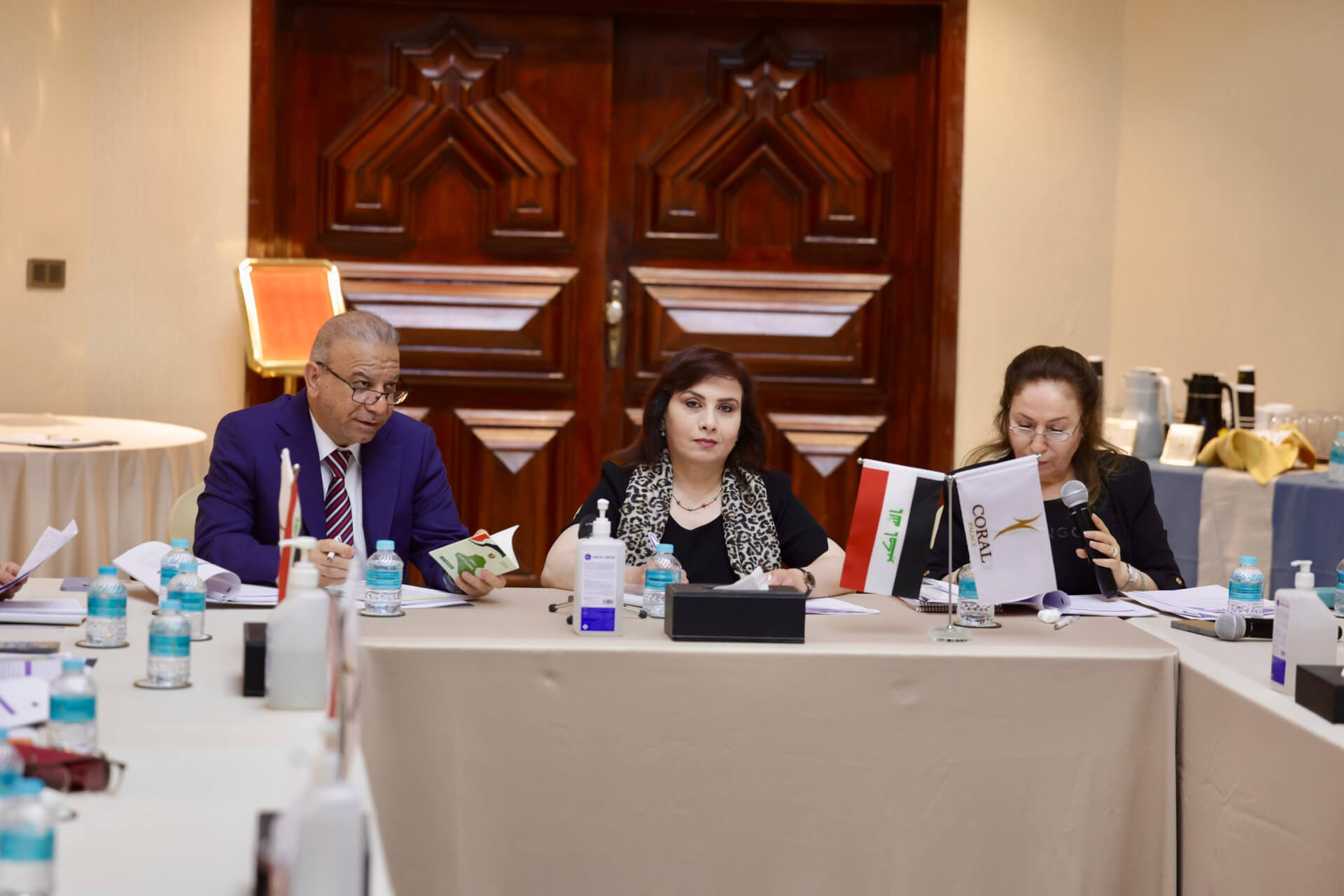 - | EFI - EuroMed Feminist Initiative